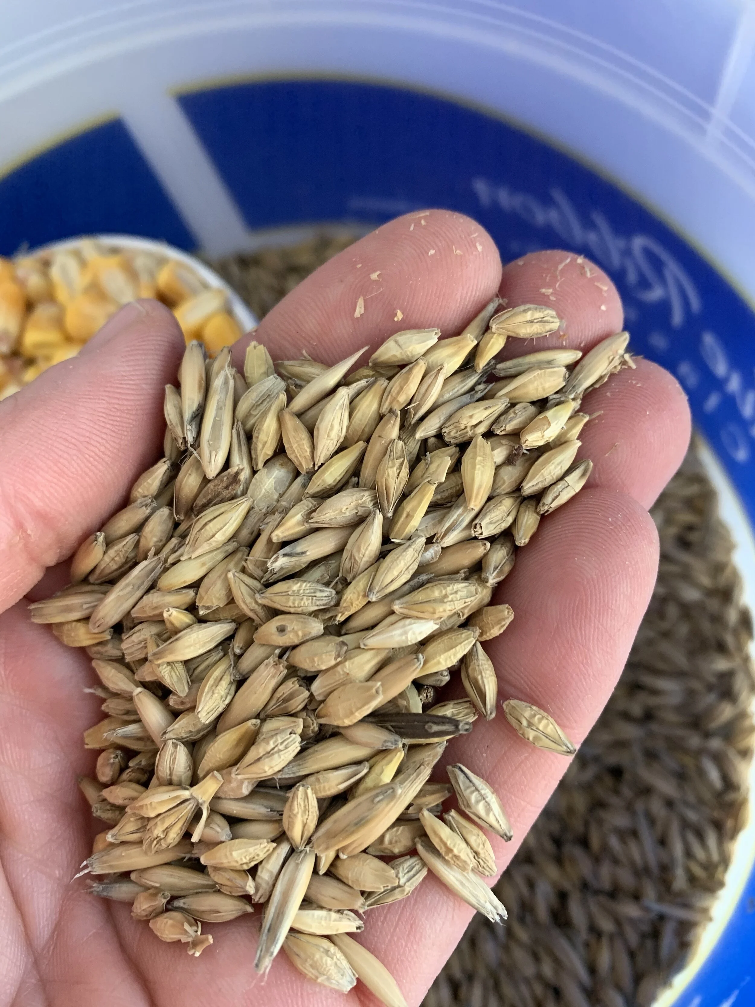 Fodder Experiments