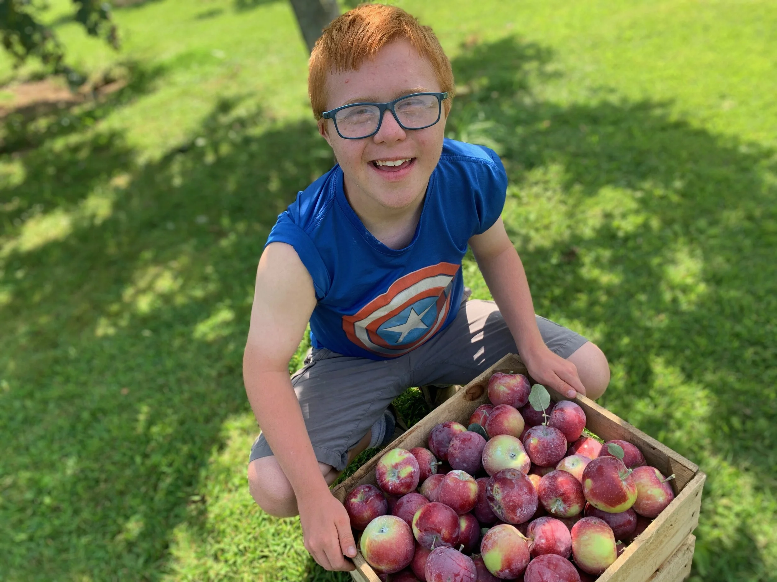 Apple Harvest 2020