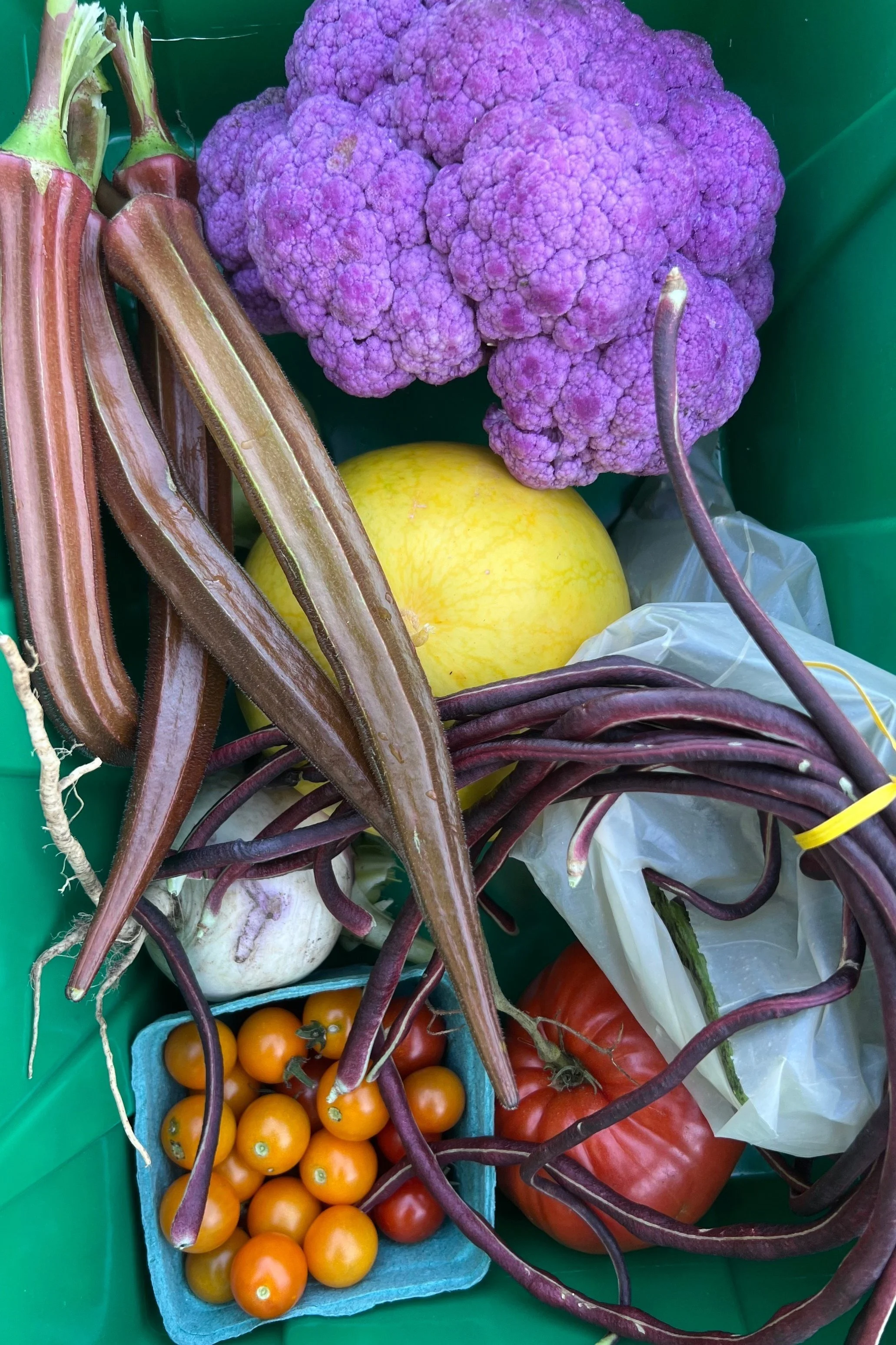 Products of the Farm — 21 Roots Farm