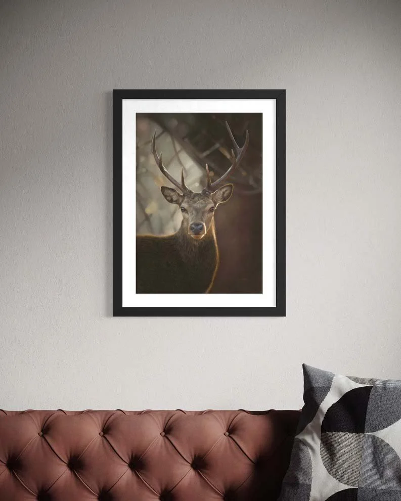Stag sofa.jpg