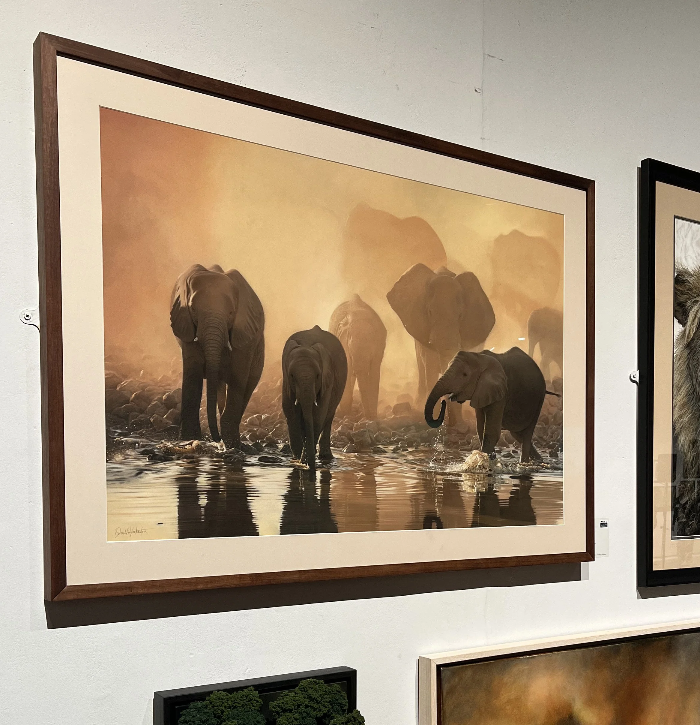 echoes of herd wall.jpg