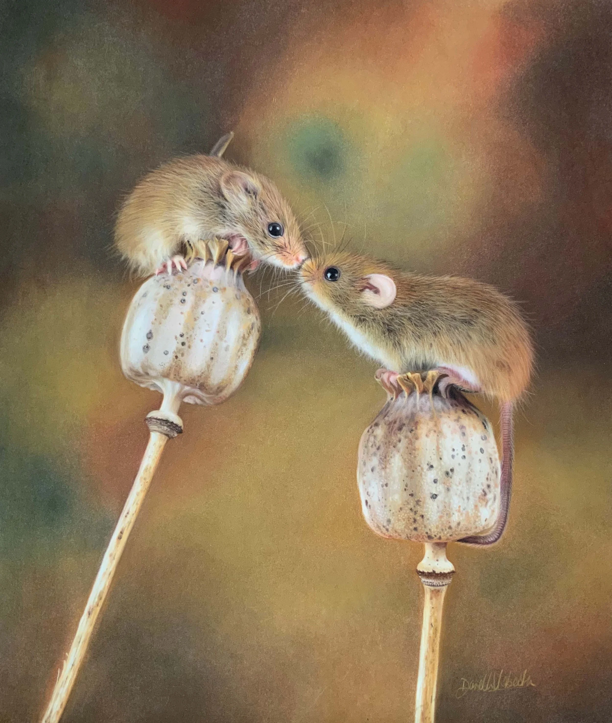 Mice.jpg