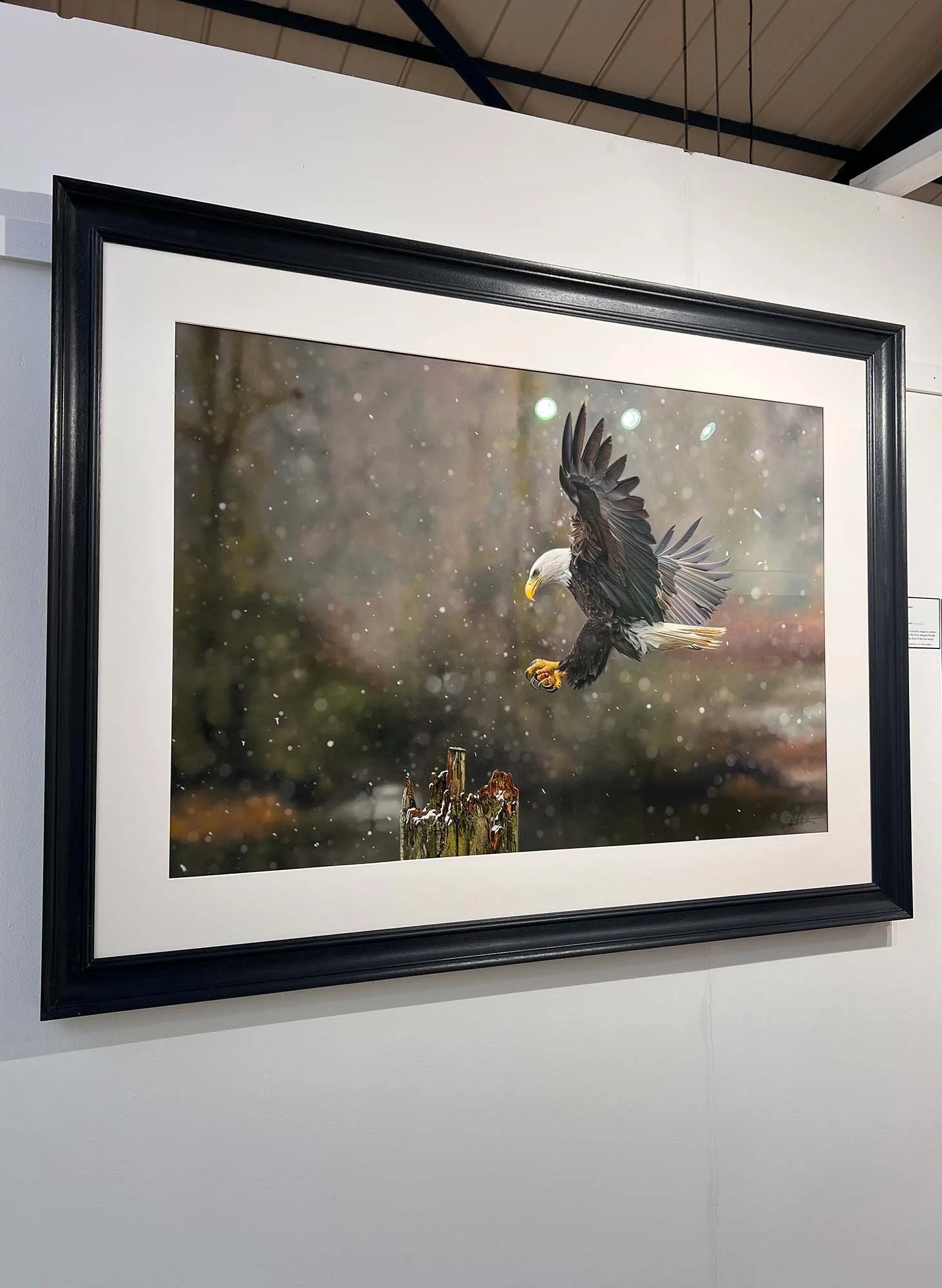 The Landing framed.jpg