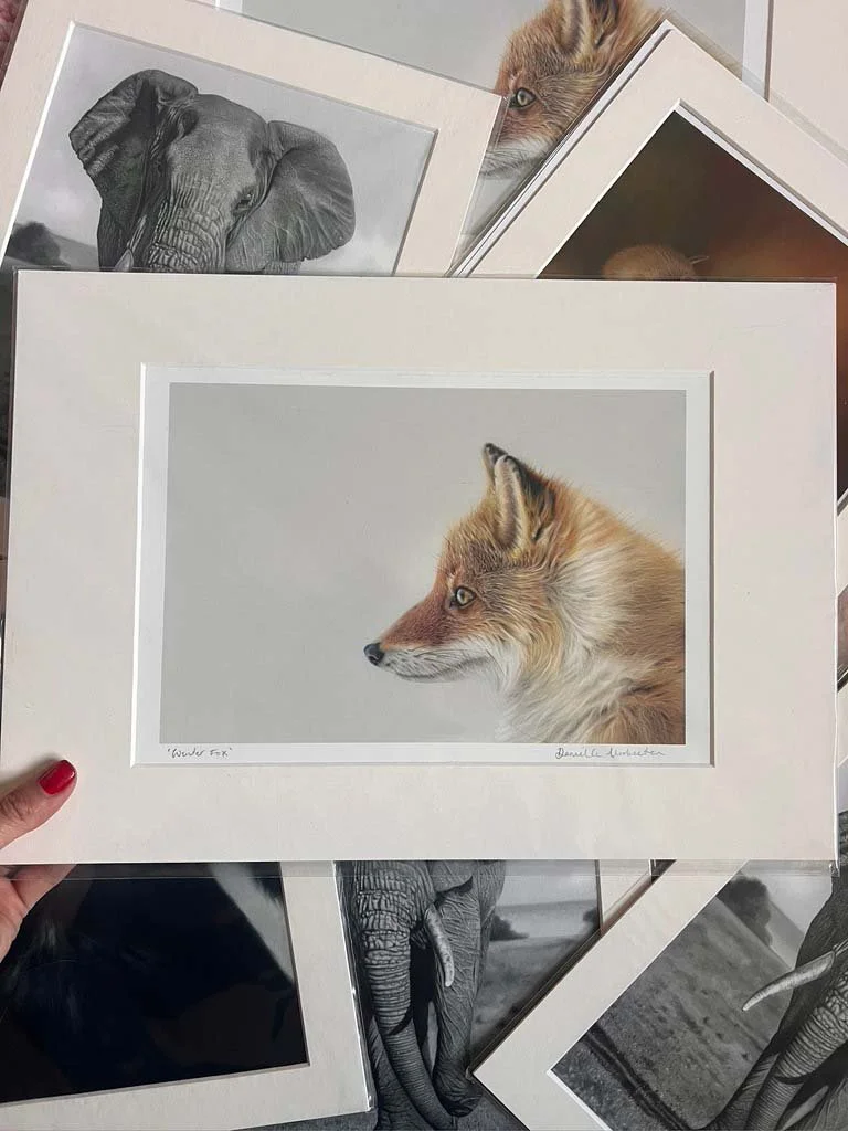 Winter Fox