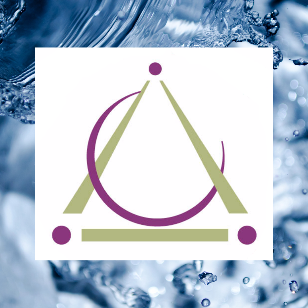 Minnesota Academy of Science Welcomes New Board of Directors Cohort