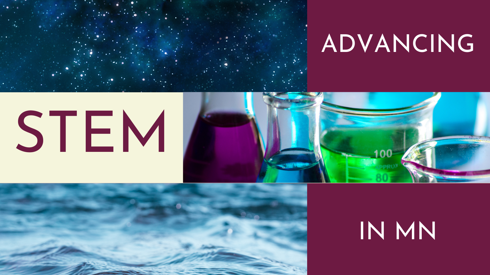 Advancing STEM in Minnesota — Minnesota Academy of Science