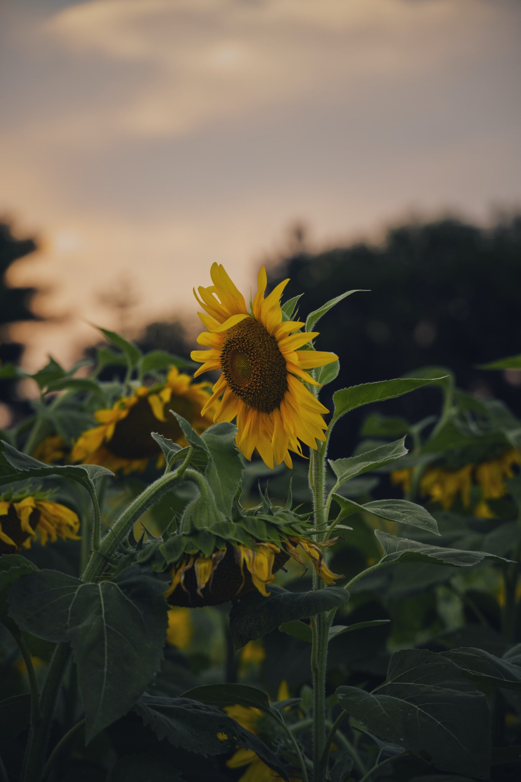 September 2021 Newsletter