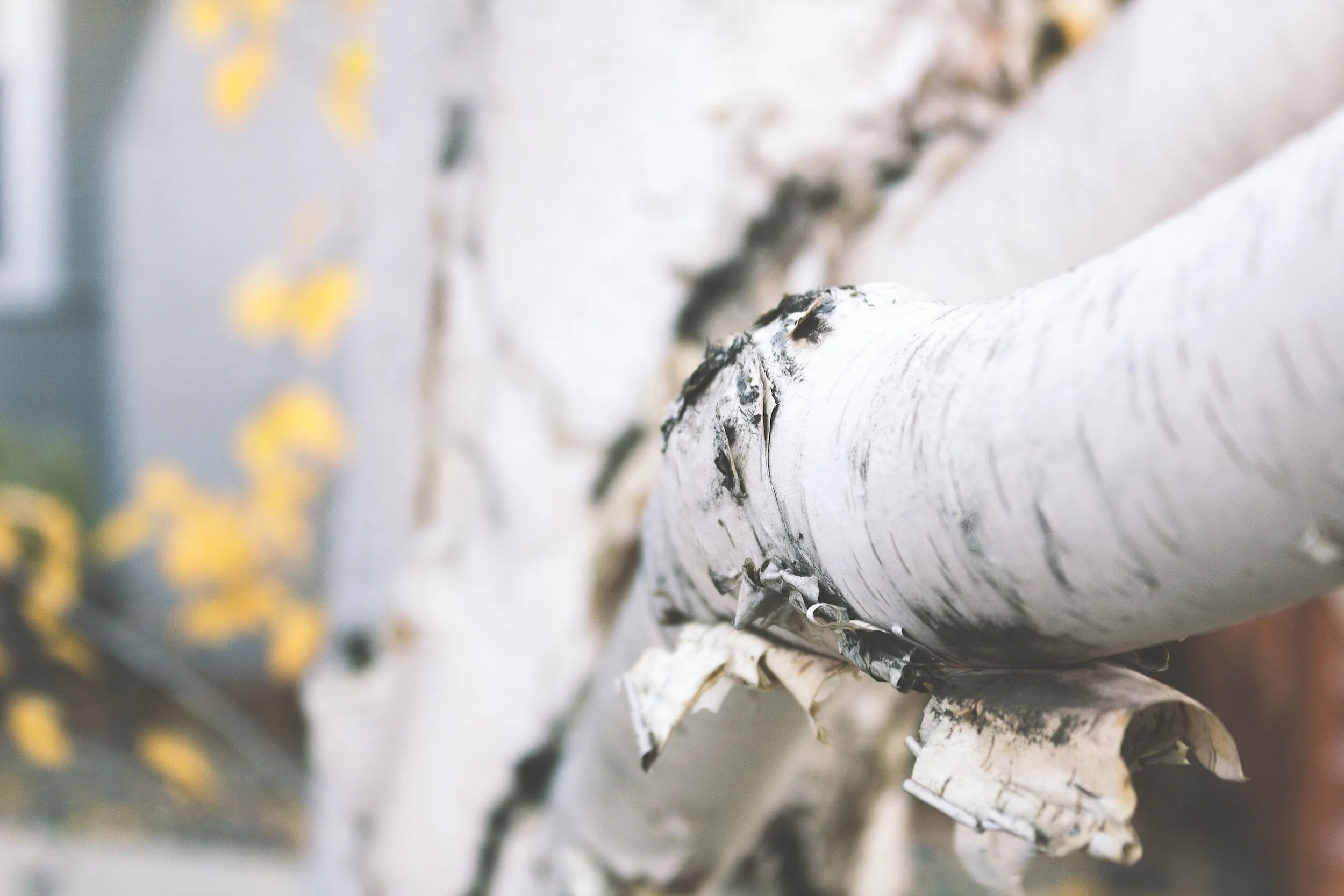 September 2023 MN STEM News &amp; Events Digest