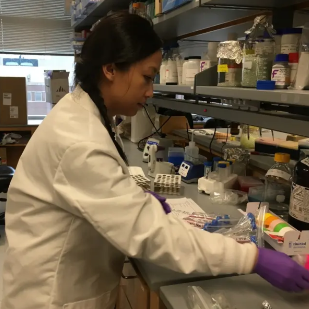 Celebrating Women's History Month — Minnesota Academy of Science