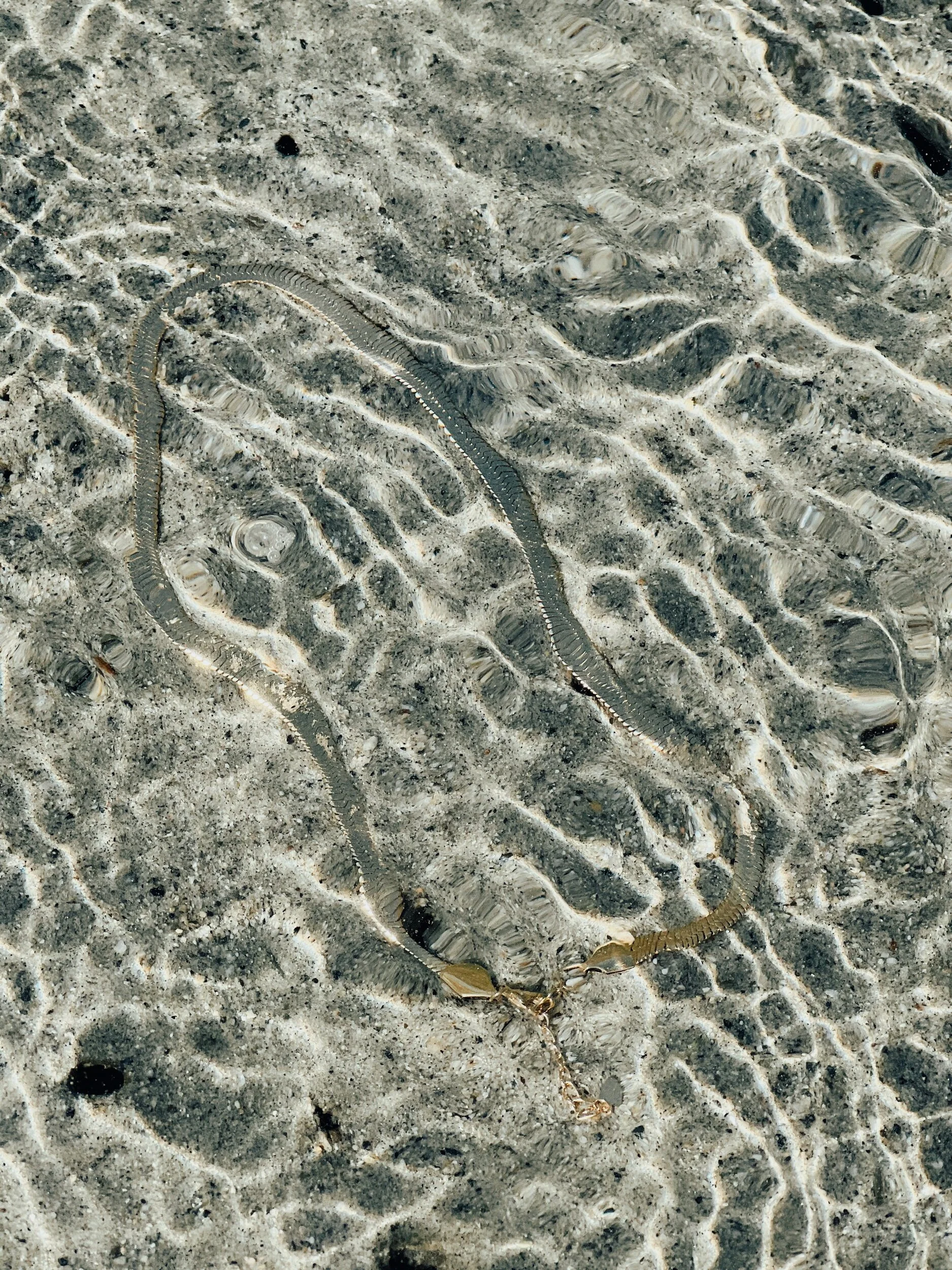 629ABEAA-746F-42D4-8186-4865B122F5D3