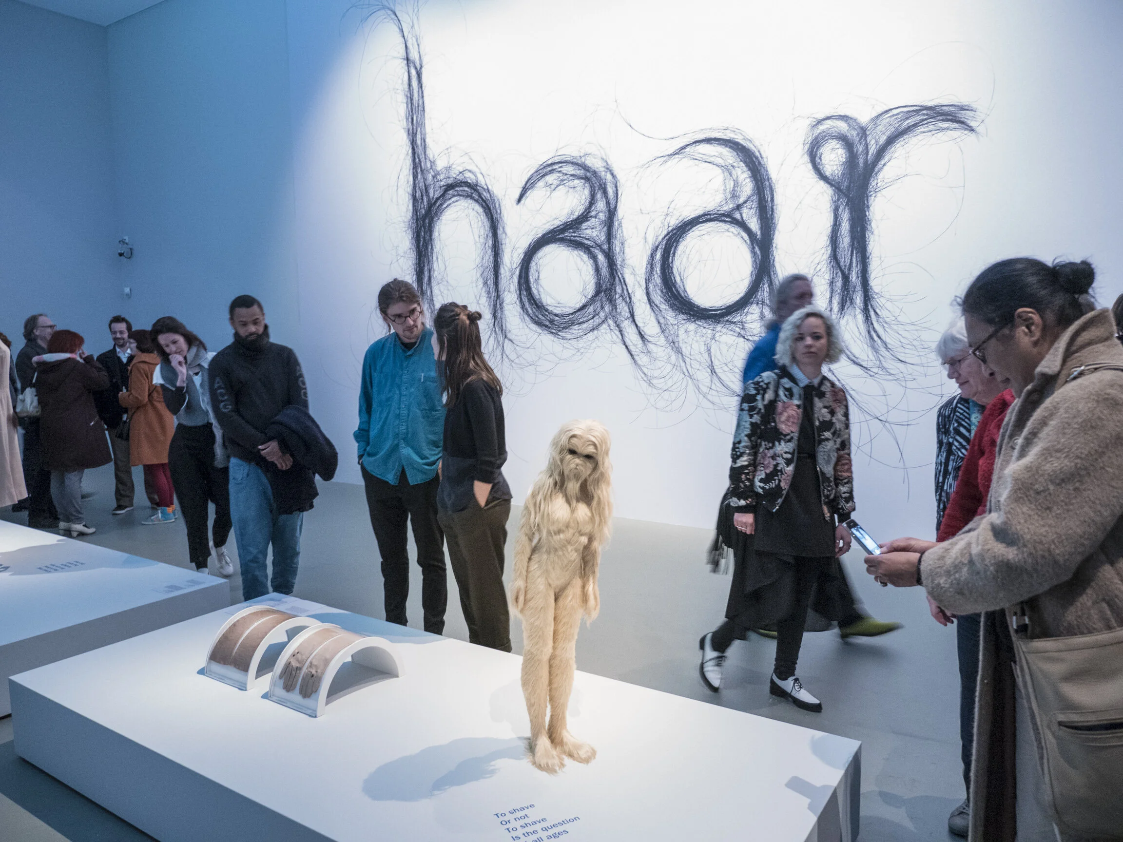 Centraal Museum