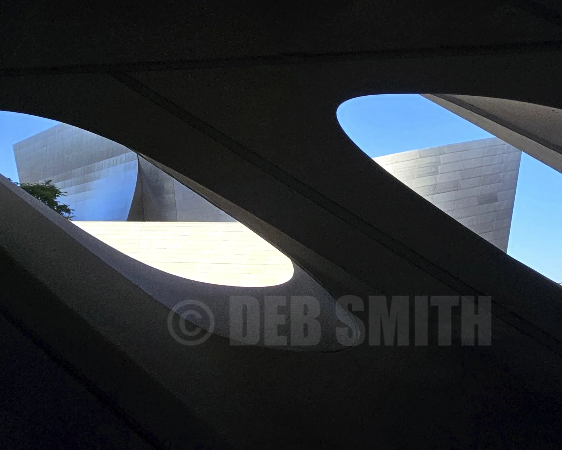 IMG_20241018_231926_897©DS.jpg