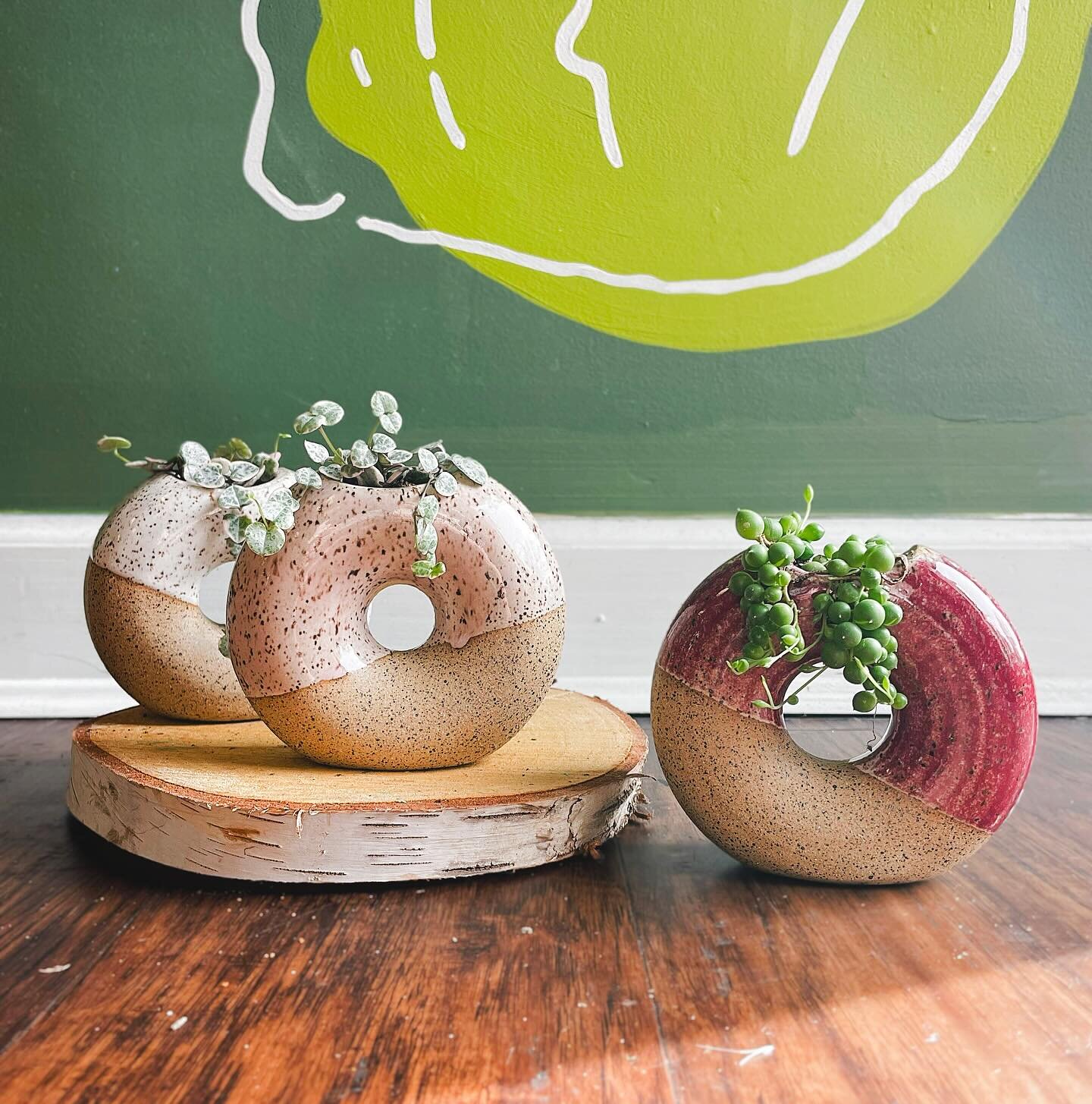 DONUT worry plant lovers&hellip;things are getting a HOLE lot more fun over here 🍩 🪴 
.
Our new donut budvases from @overbrookclay have taken on a new personality and they&rsquo;re a-GLAZE-ing. These cute vases have been FILLED with mini string of 