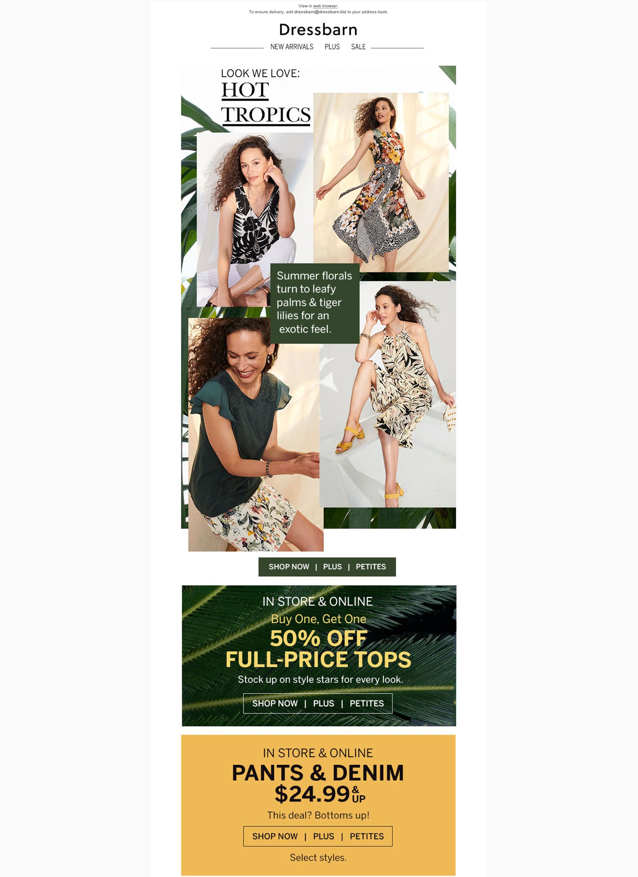 Email: Tropical print style story