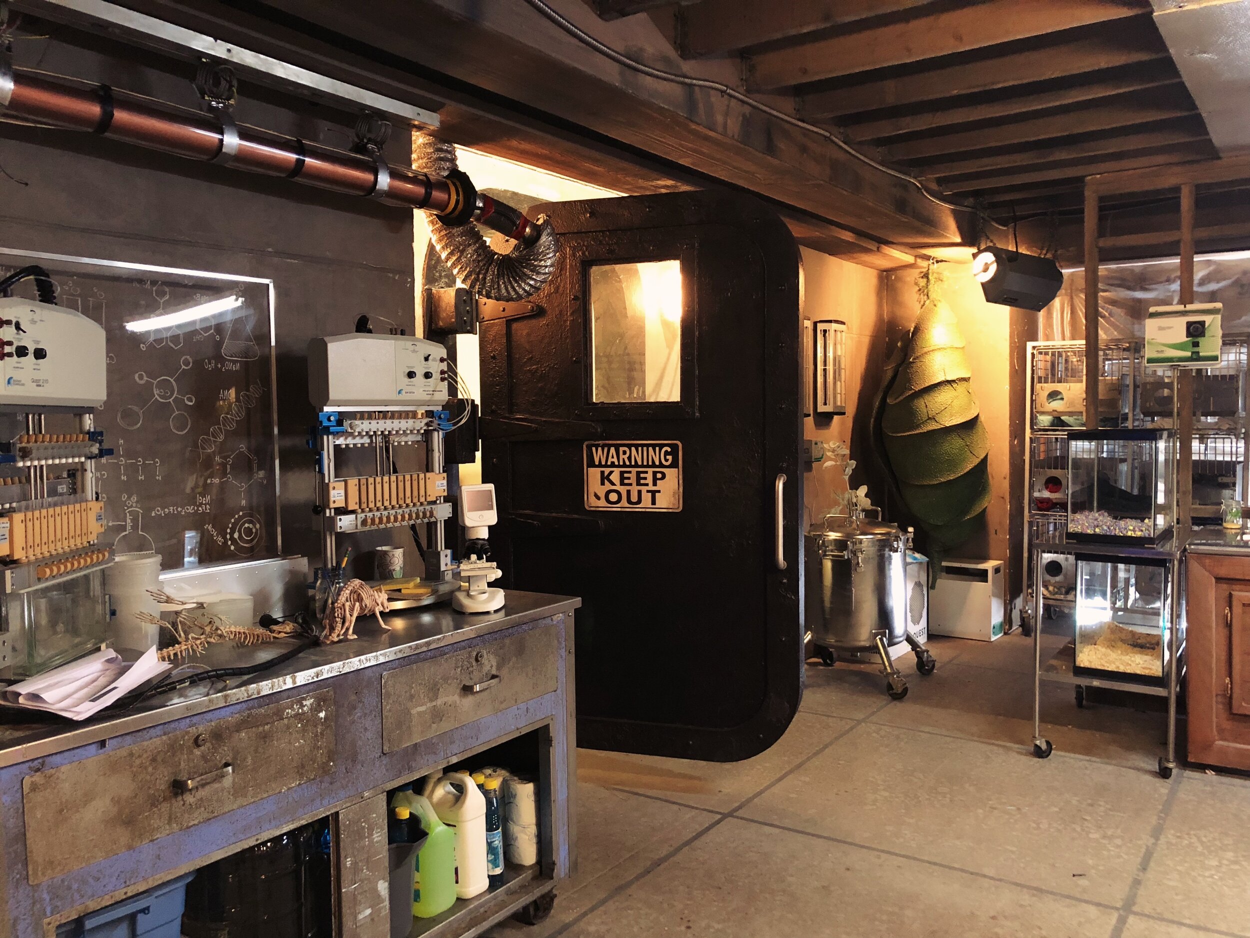 1E4A4290-50DF-4A9E-A7F5-921143D570D1 2.jpg