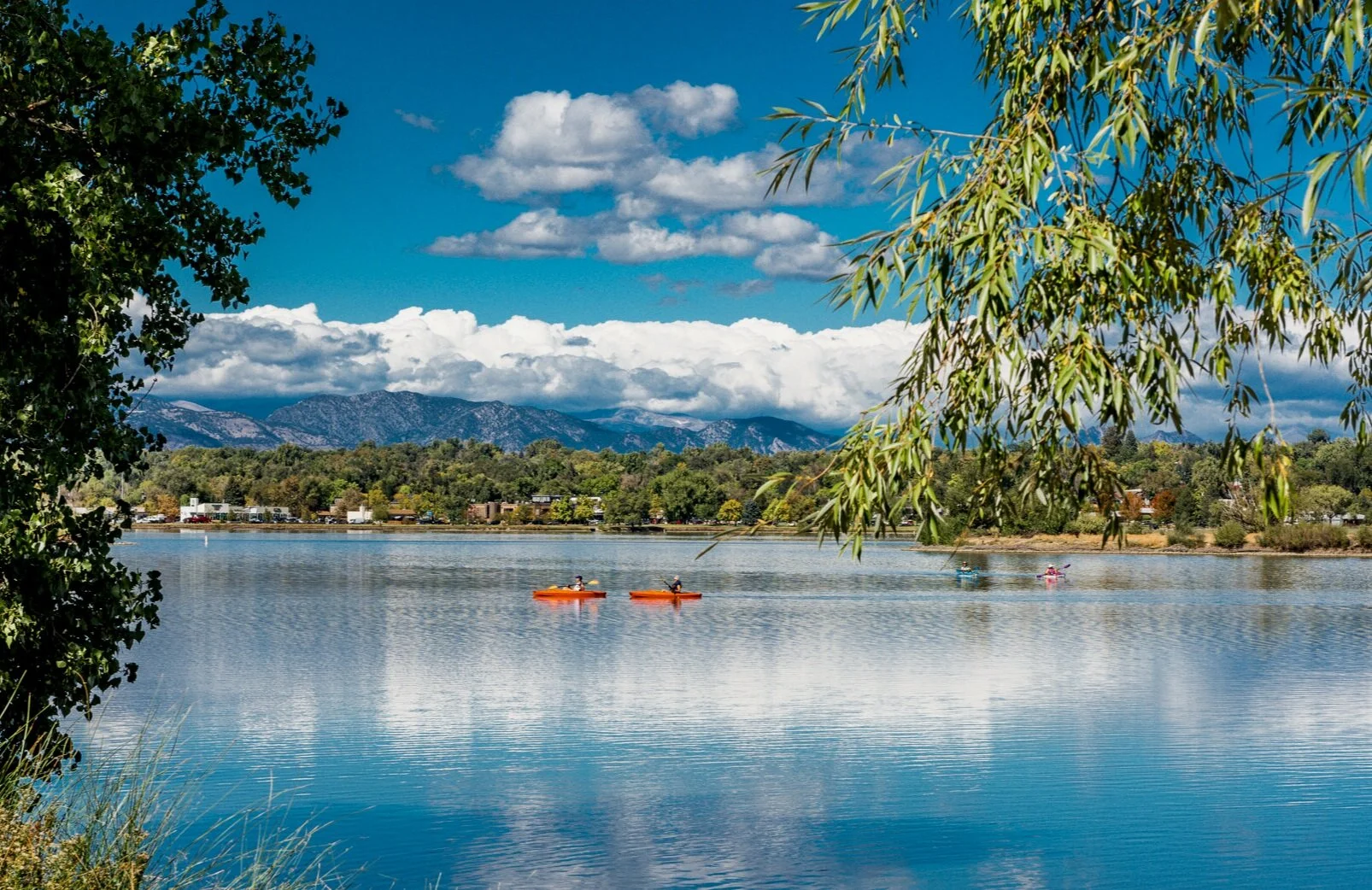 Caitlin Clough Sloans Lake Real Estate Denver , Colorado