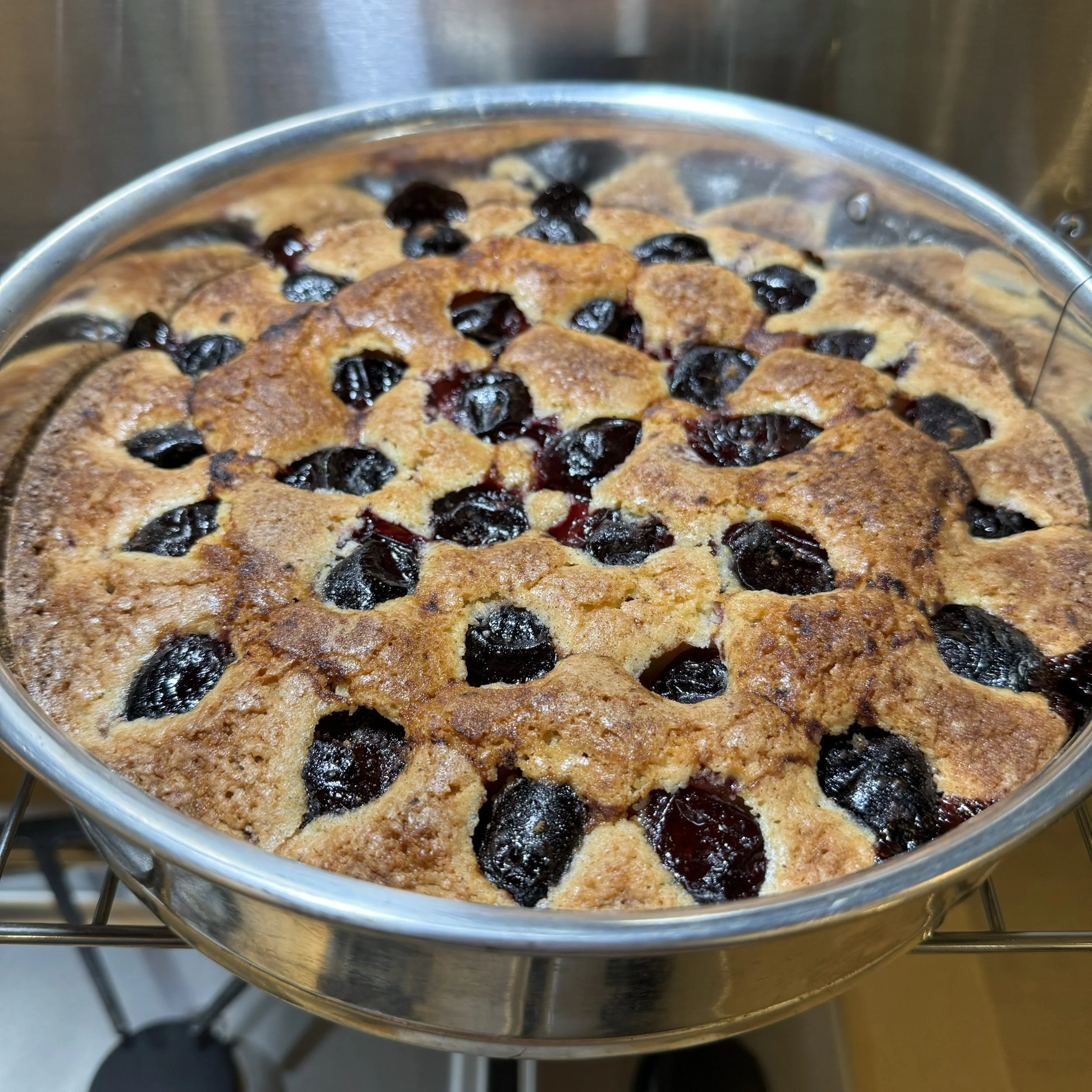 Plum Torte: A Timeless Classic