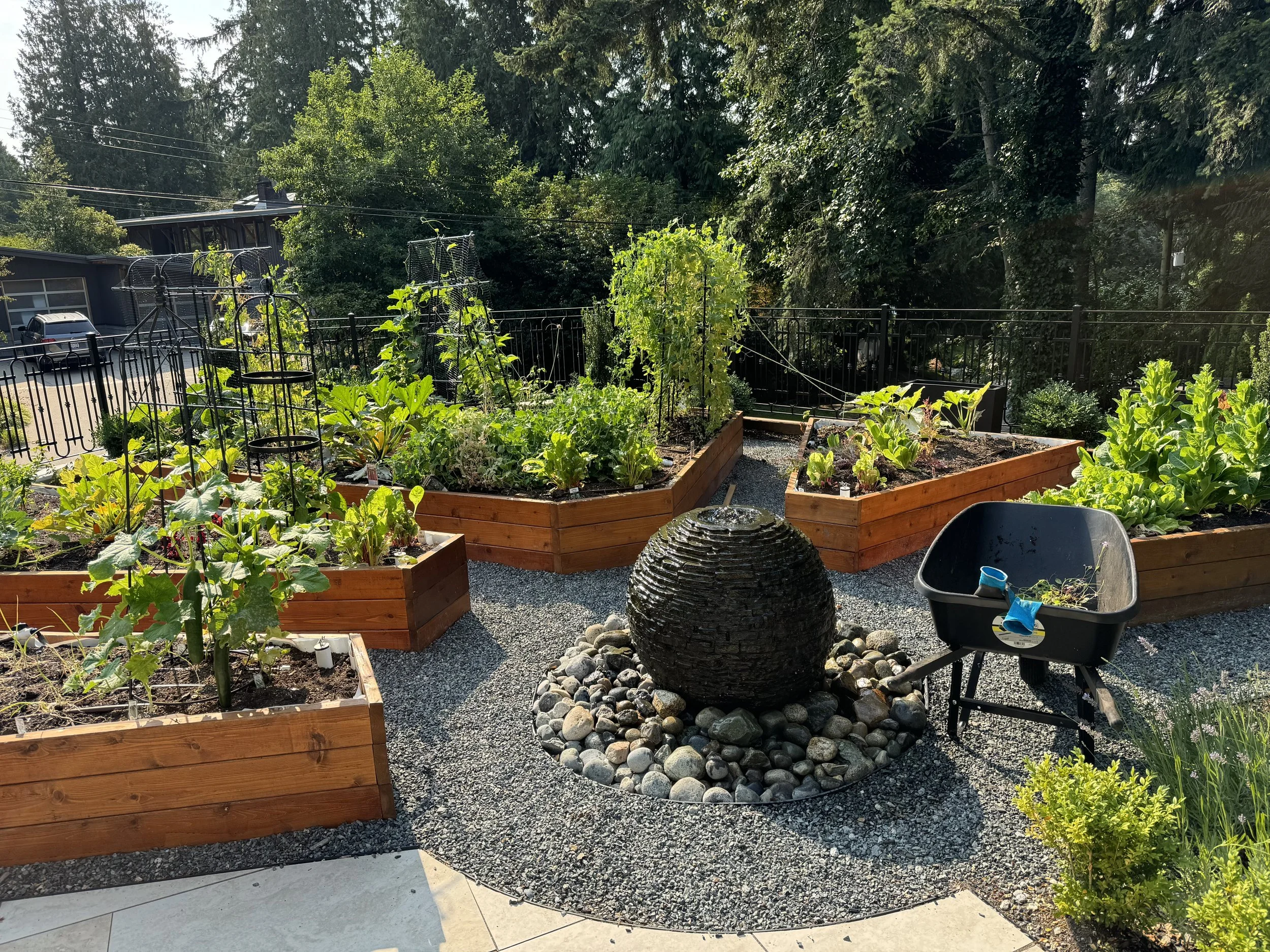 The Structure of Our Vegetable Garden: A Dream Designed by Us