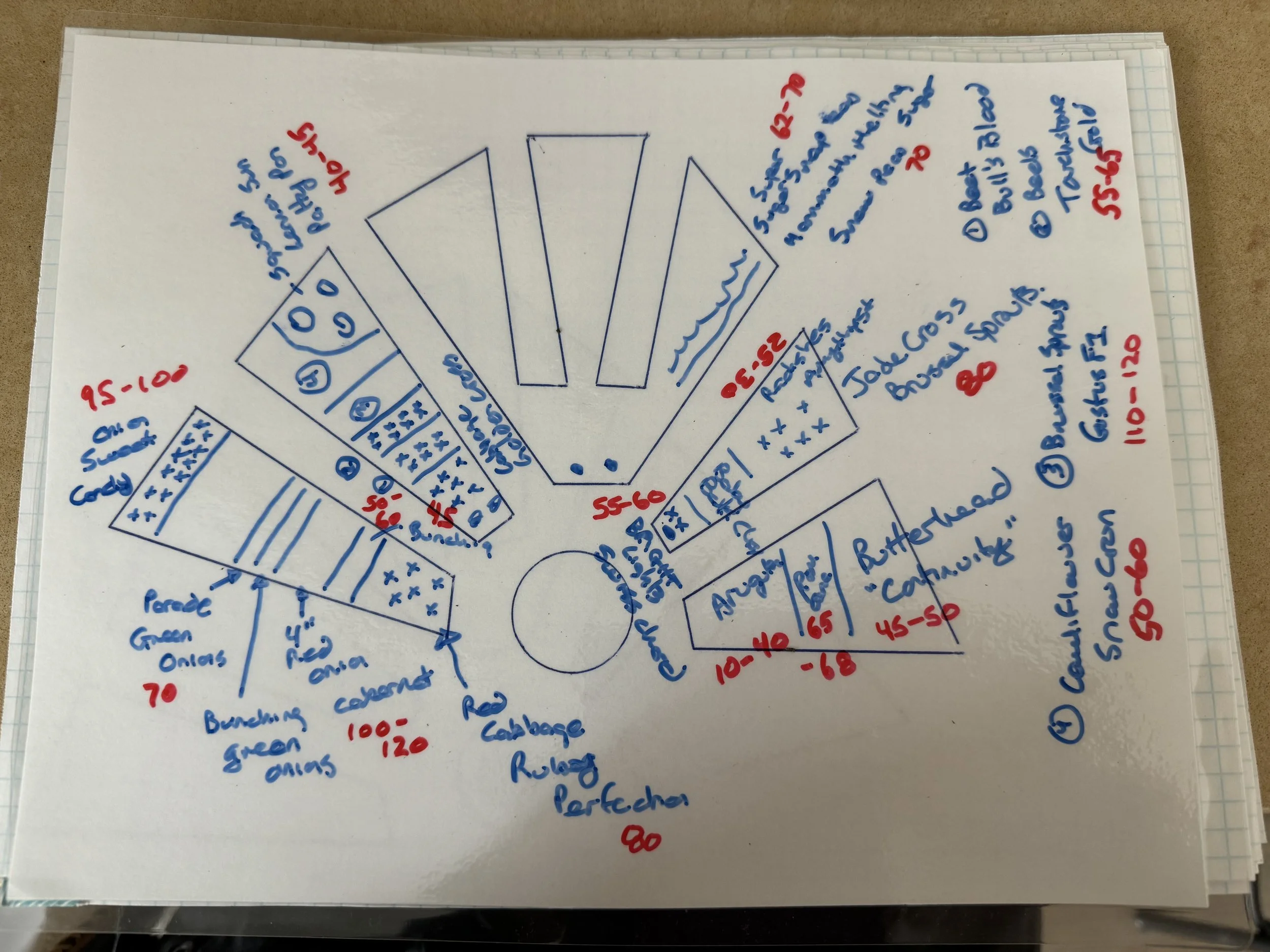 The Garden Lessons We Didn't Expect: From Dead Dirt to Thriving Veggies