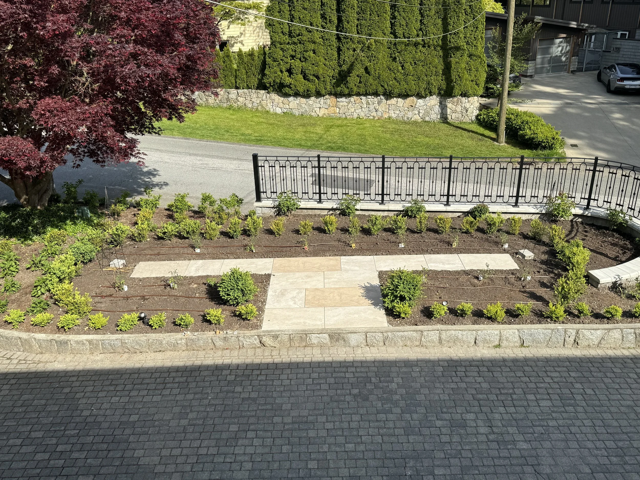 Our New Tomato Garden: A Beautiful and Functional Design