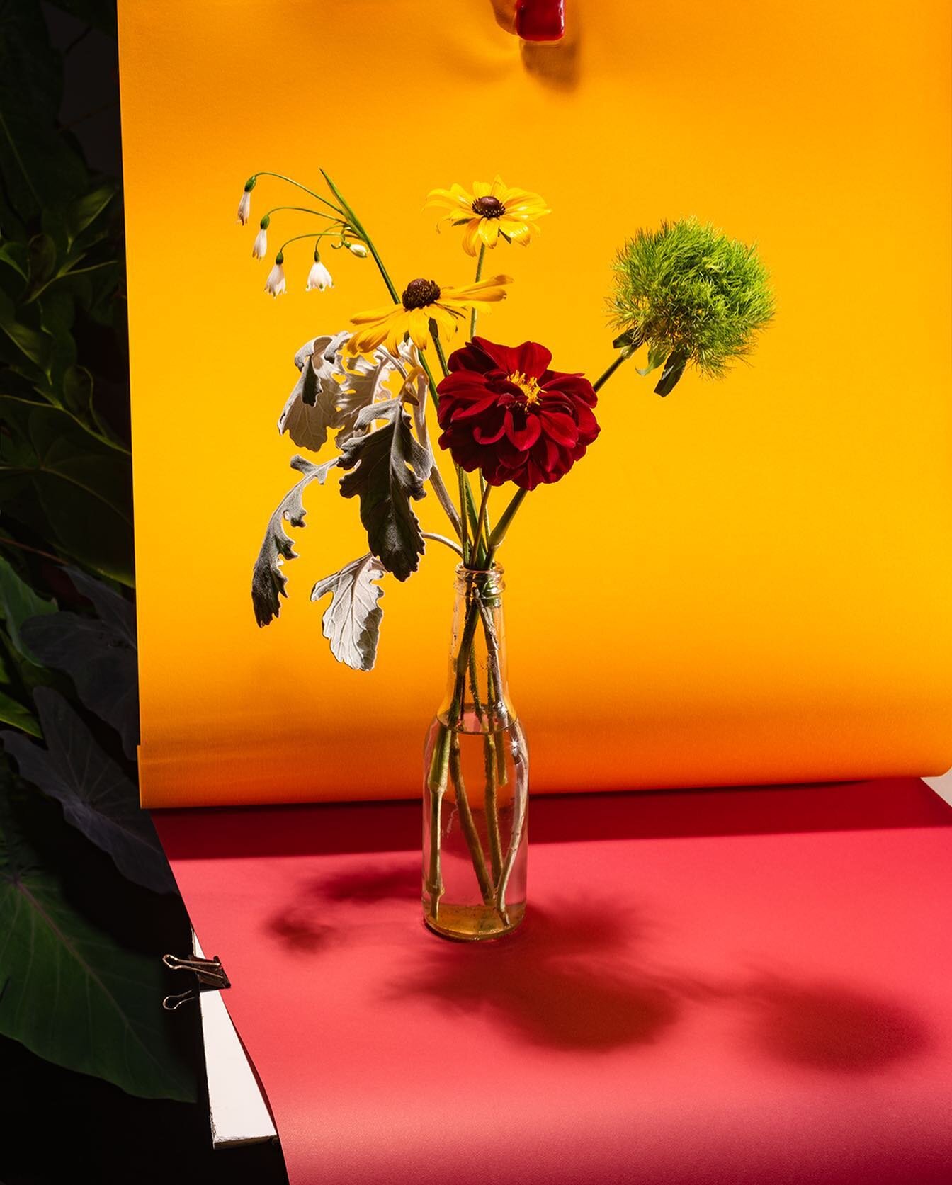 We finish the week with new work by photographer Andr&eacute;s Asturias part of his famous series &ldquo;Noche de Mediod&iacute;a&rdquo;, first presented at La Galer&iacute;a Rebelde. 

&ldquo;The idea of ​​the fragility of flowers is a key part of t