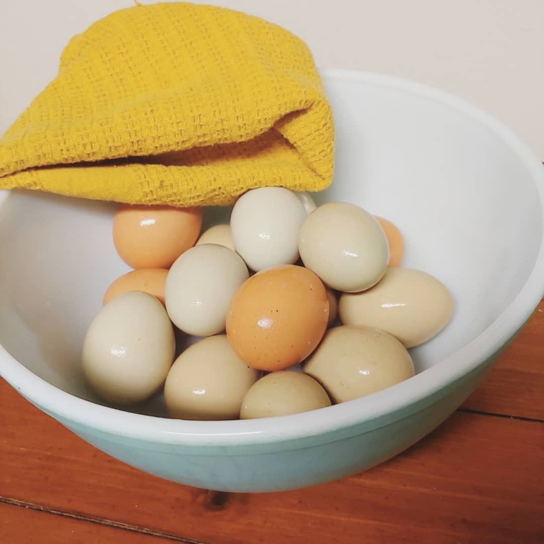 Nothing better than a bowl of freshly washed eggs ready for baking and cooking. 
.
.
.
. #chickeneggs #eggs #fresheggs #farmfresh #farmlife #backyardchickens #farmtotable #cooptotable #vintagepyrex #vintagemixingbowl #homesteadflourish #greeneggs #br