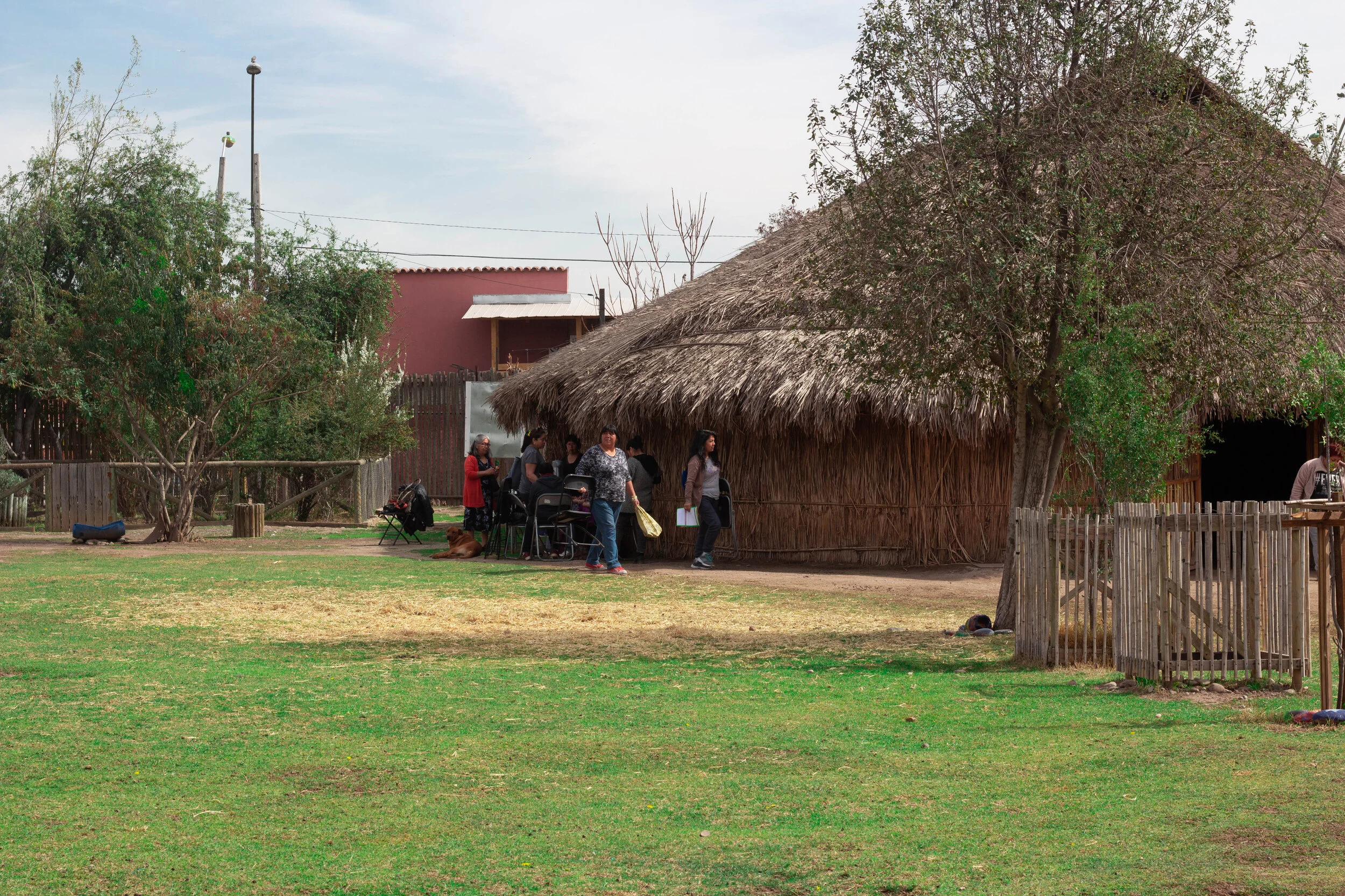 Psicología comunitaria: Intervención en comunidades de mujeres mapuche