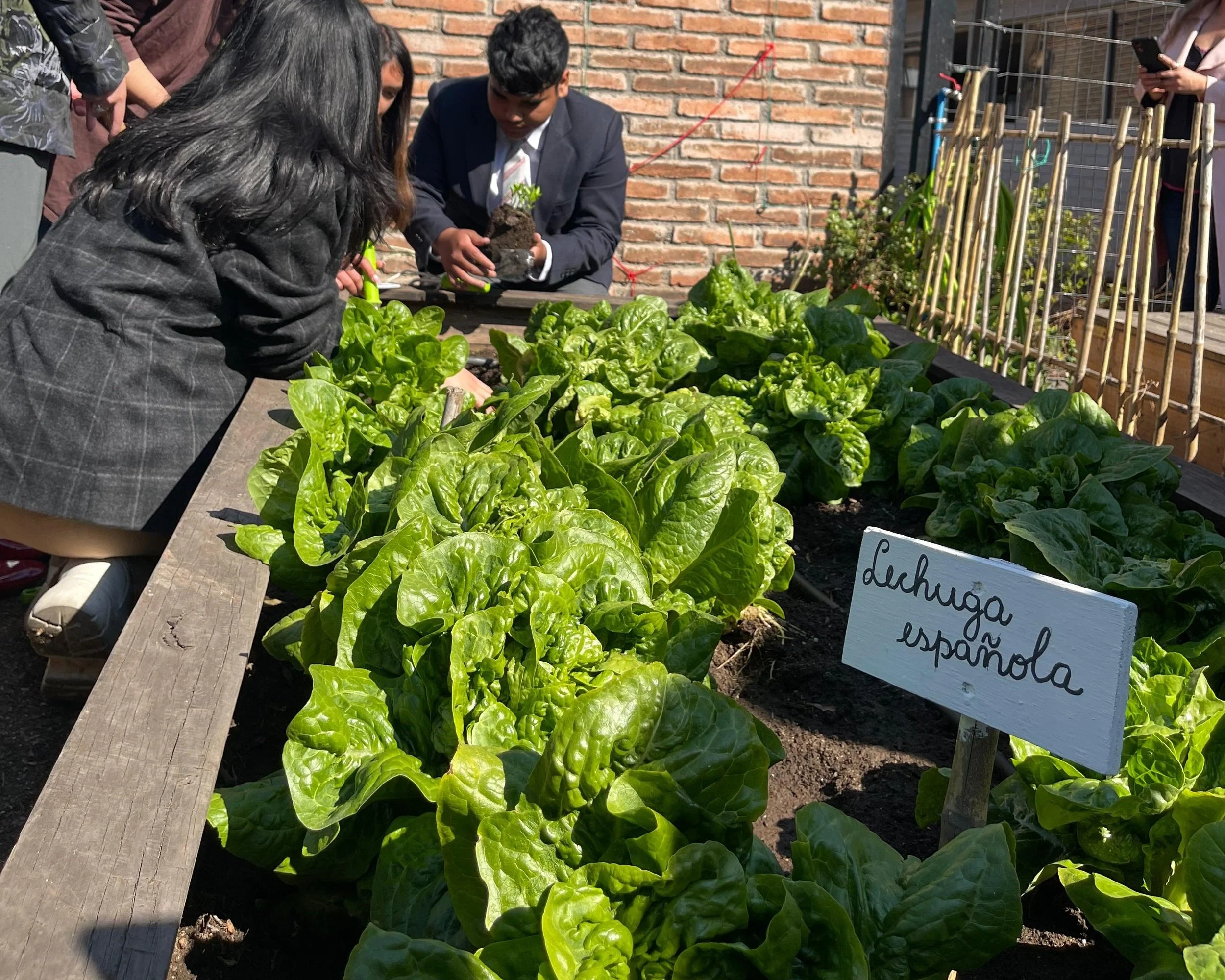 Lanzamiento de Programas de Sustentabilidad Local en Colina