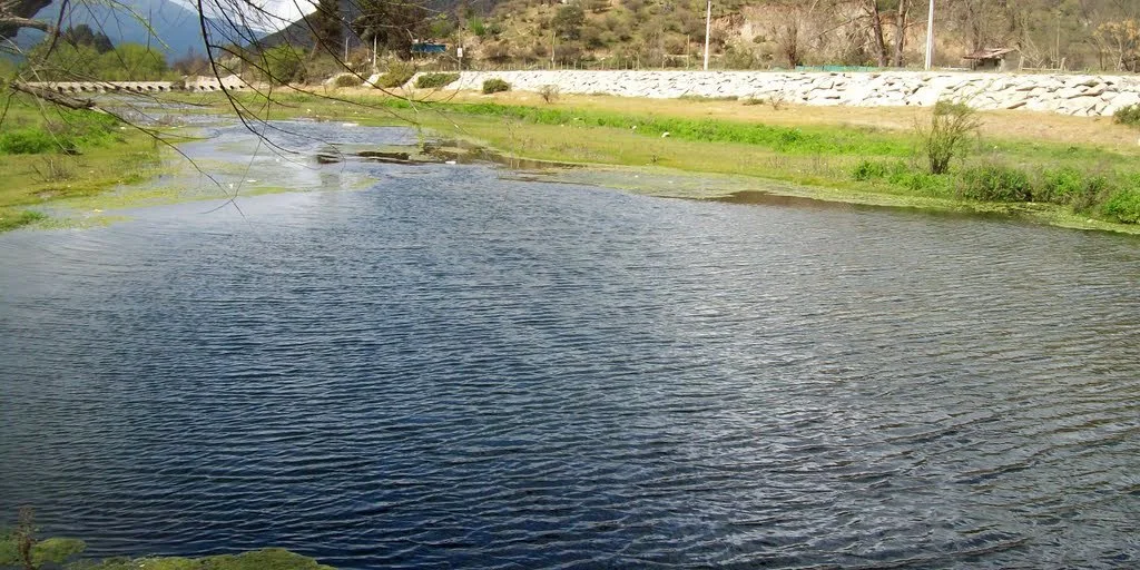 Caracterización de biodiversidad en el estero Puangue de Melipilla