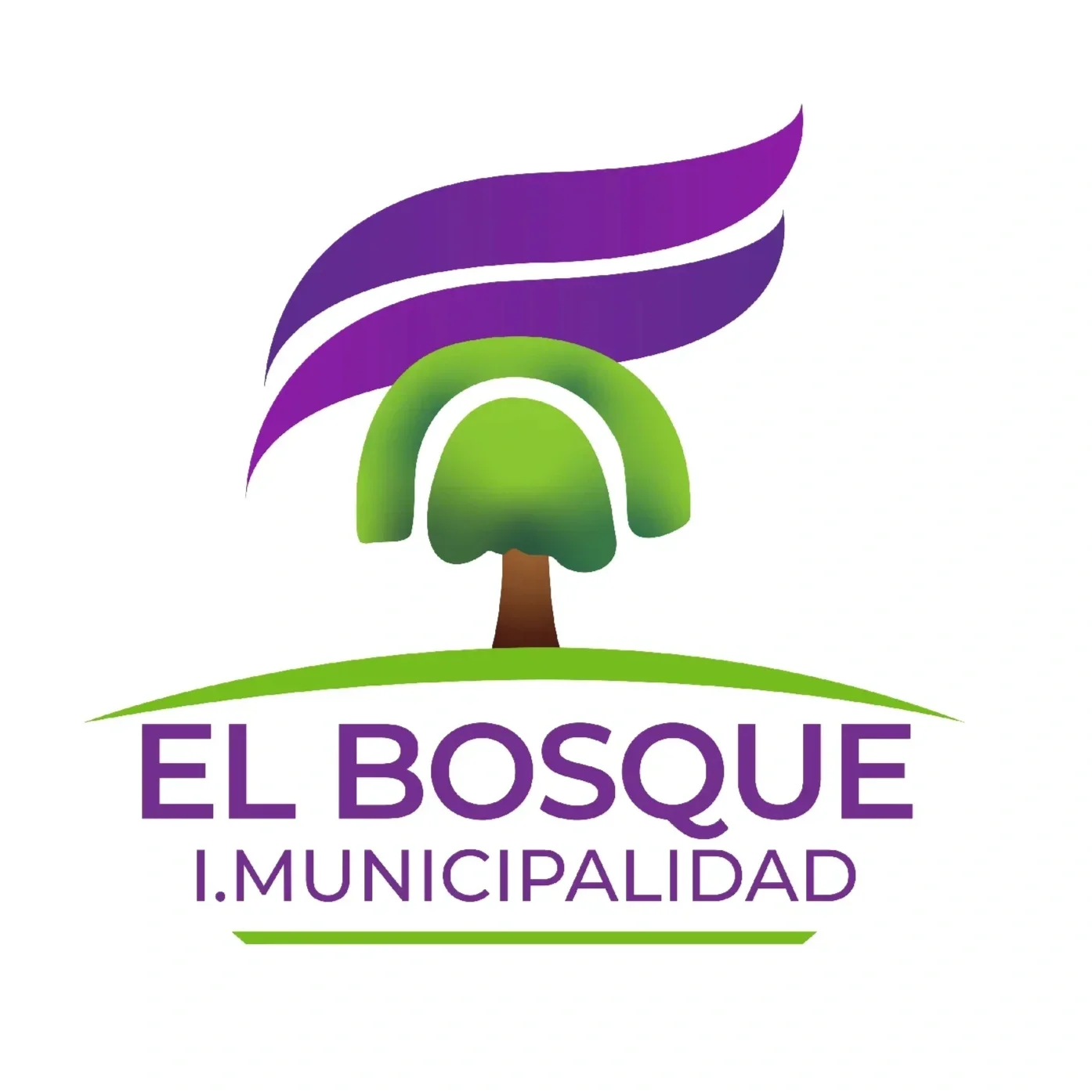 elbosque_Mesadetrabajo1.webp