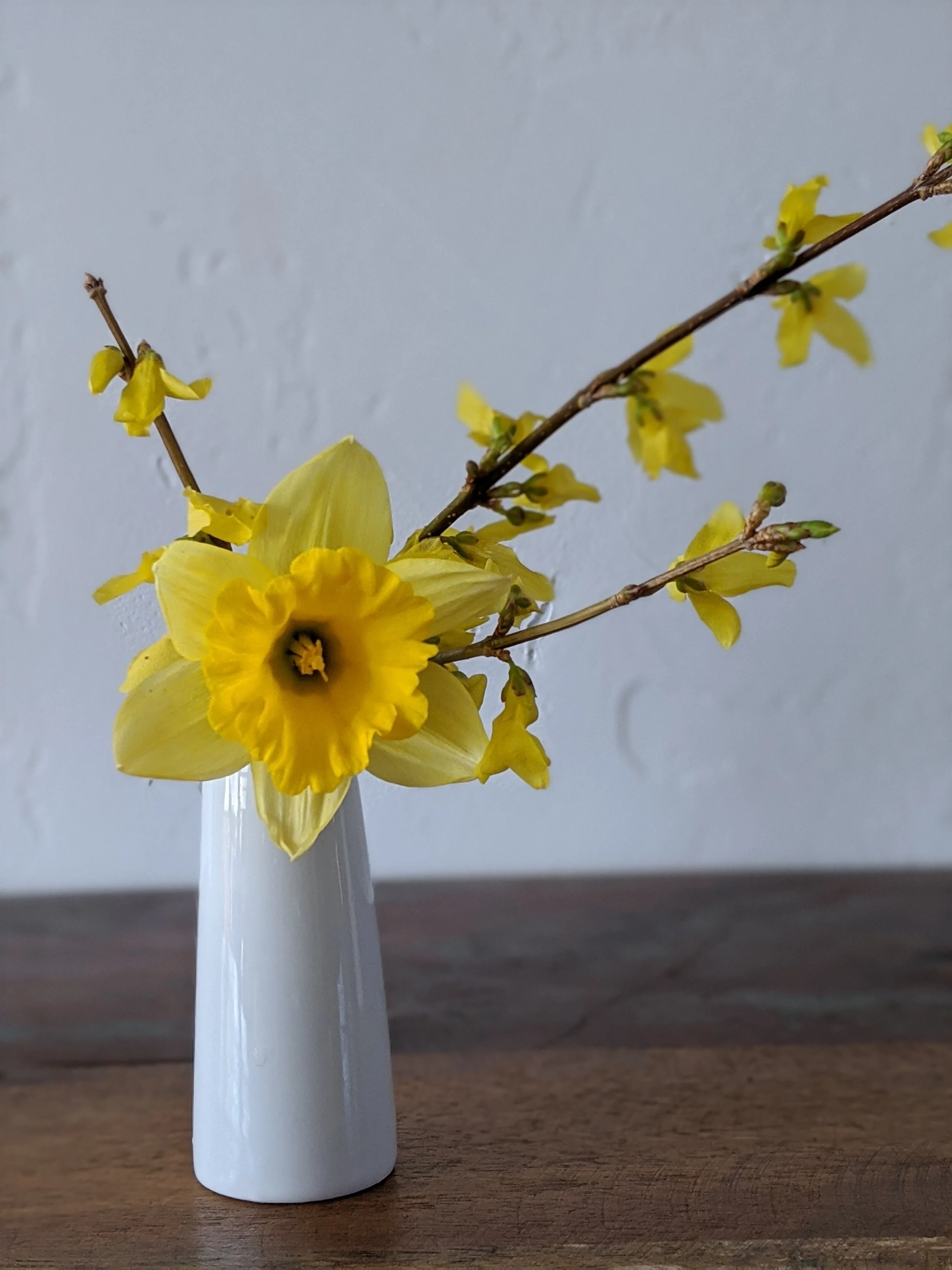 Spring Minis Now Available - just in time for Easter! 