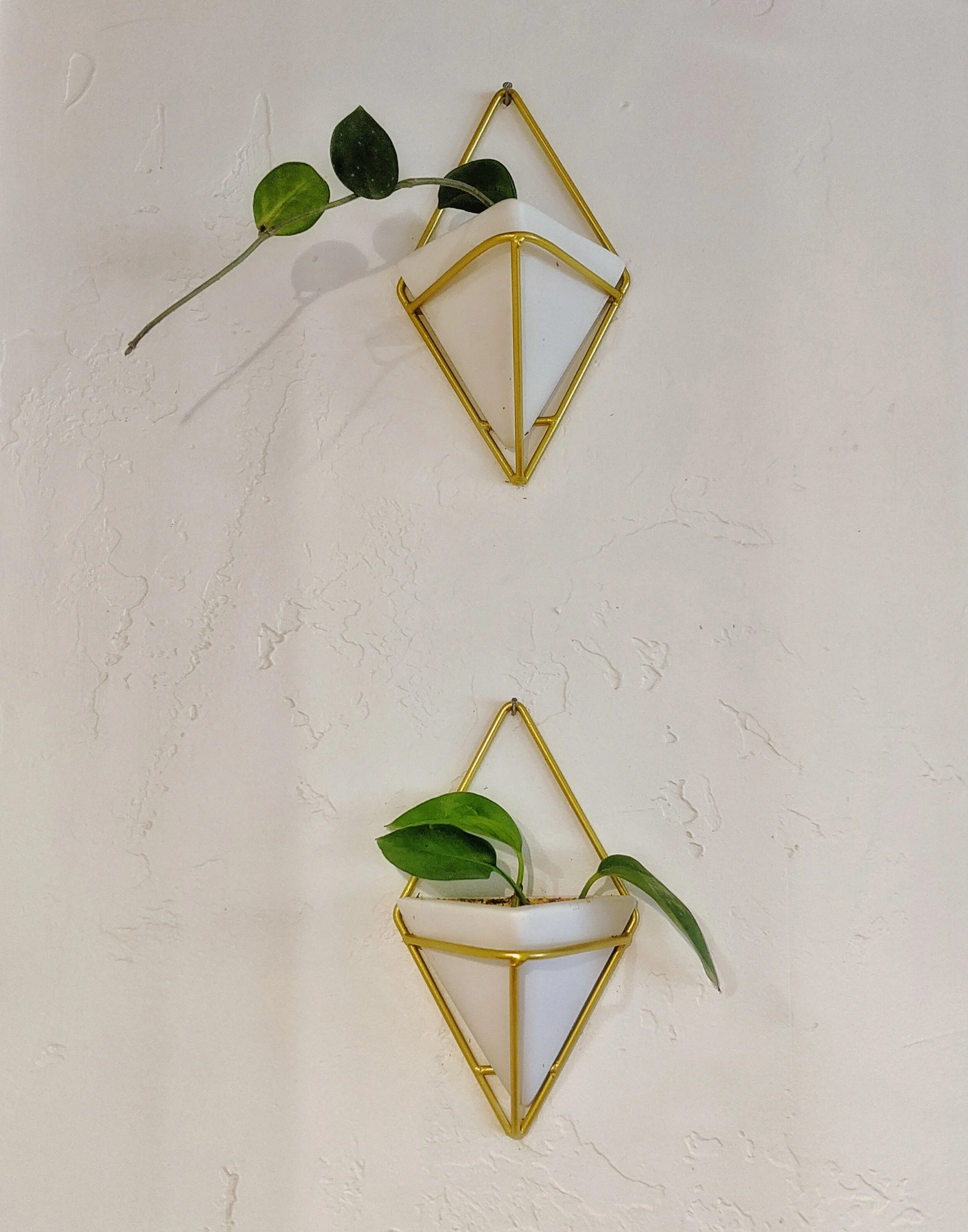 Modern Farmhouse Geometric Wall Planters