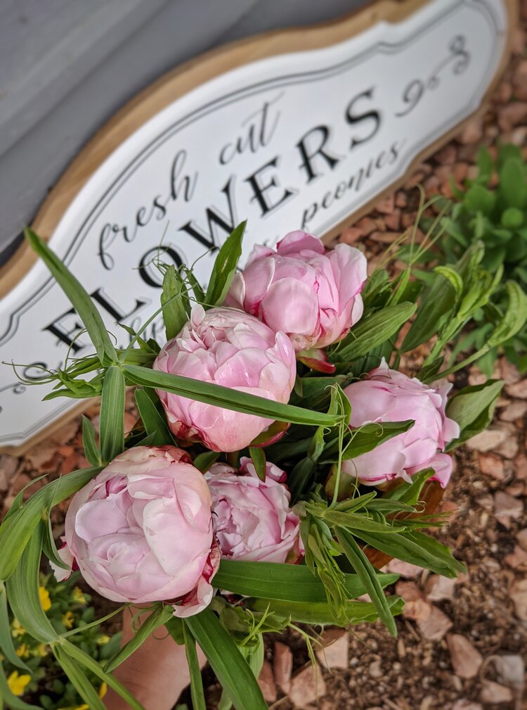 Peony flowers with metal sign that says flower