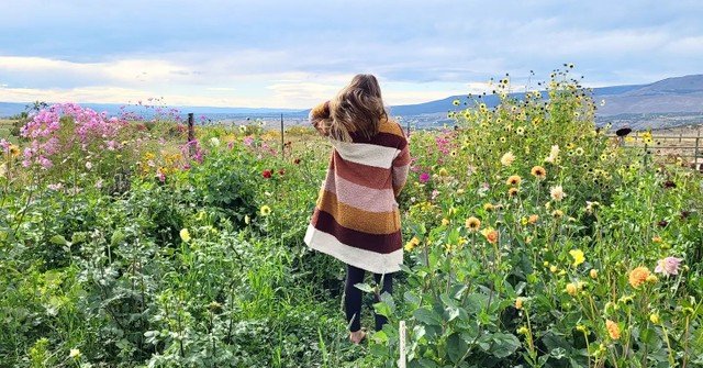 western-slope-colorado-flower-field-for-photographers-private-events-dew-lily-farm-paonia-colorado.jpeg