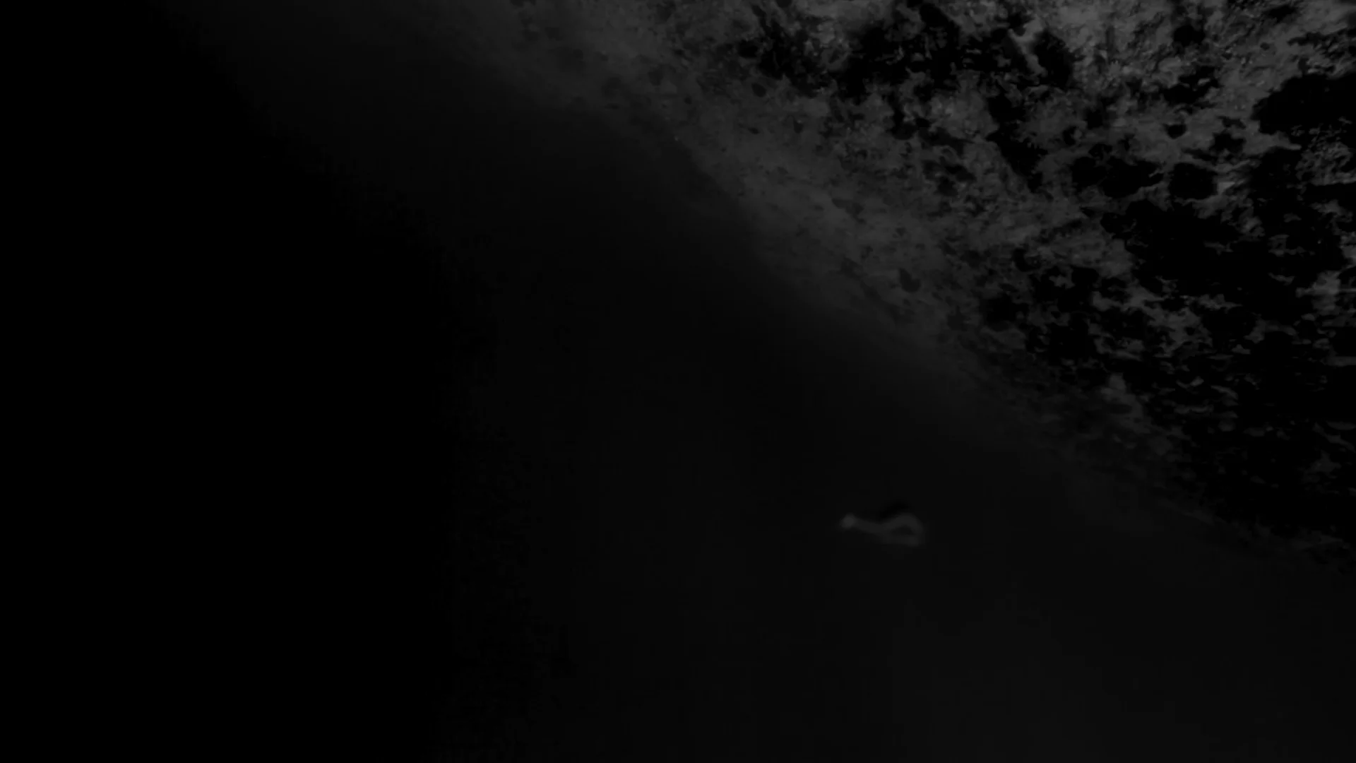 Underwater_Body.jpg