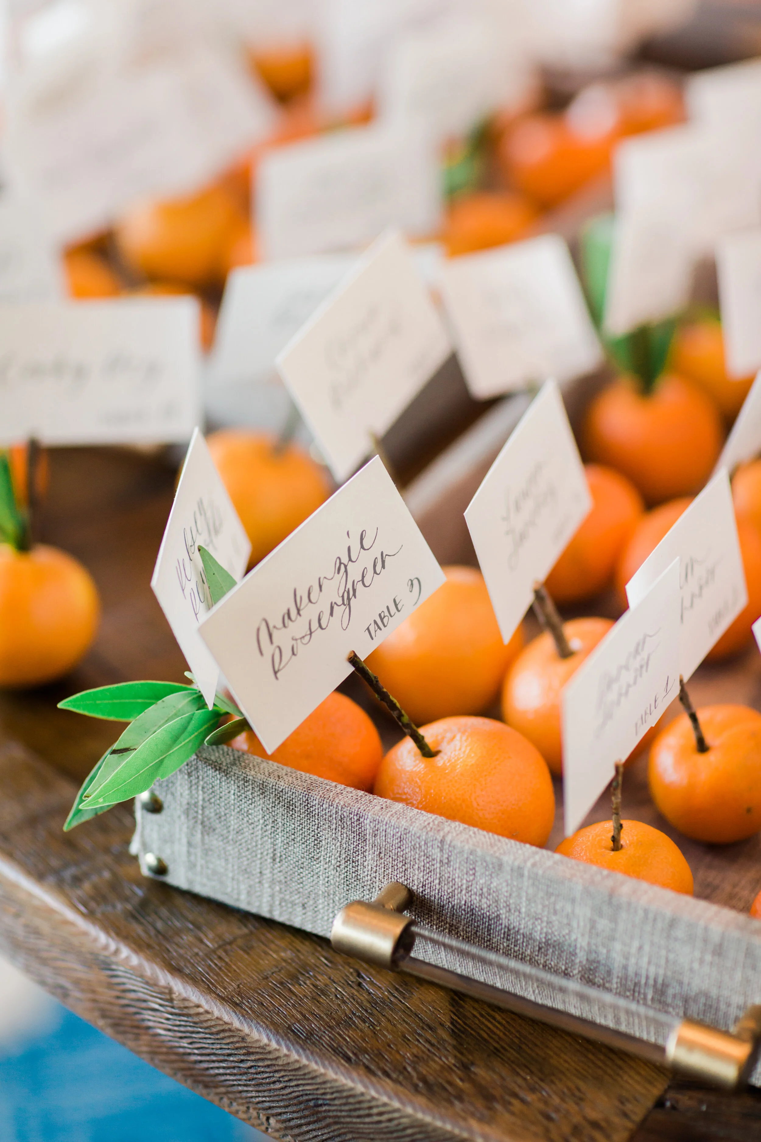 Citrus Inspired Ojai Valley Wedding_Valorie Darling -0254.jpg