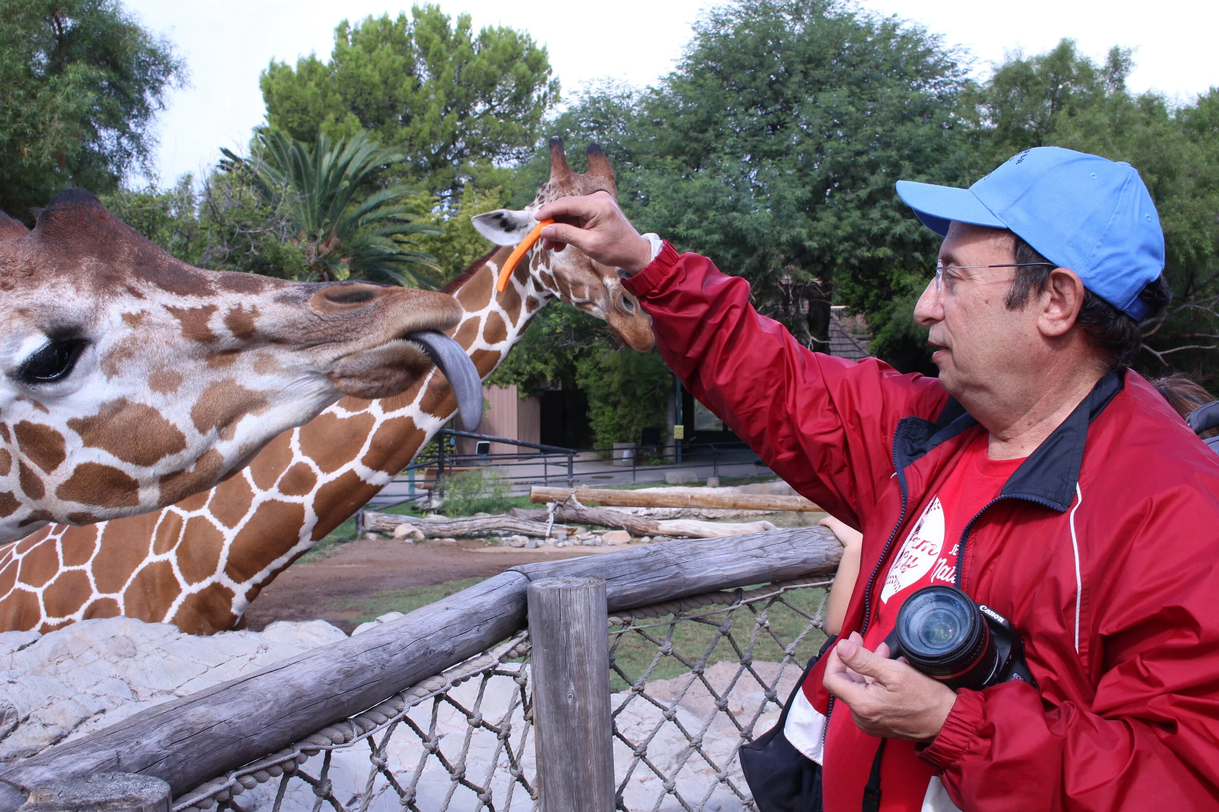 steve 2015 giraffe.JPG