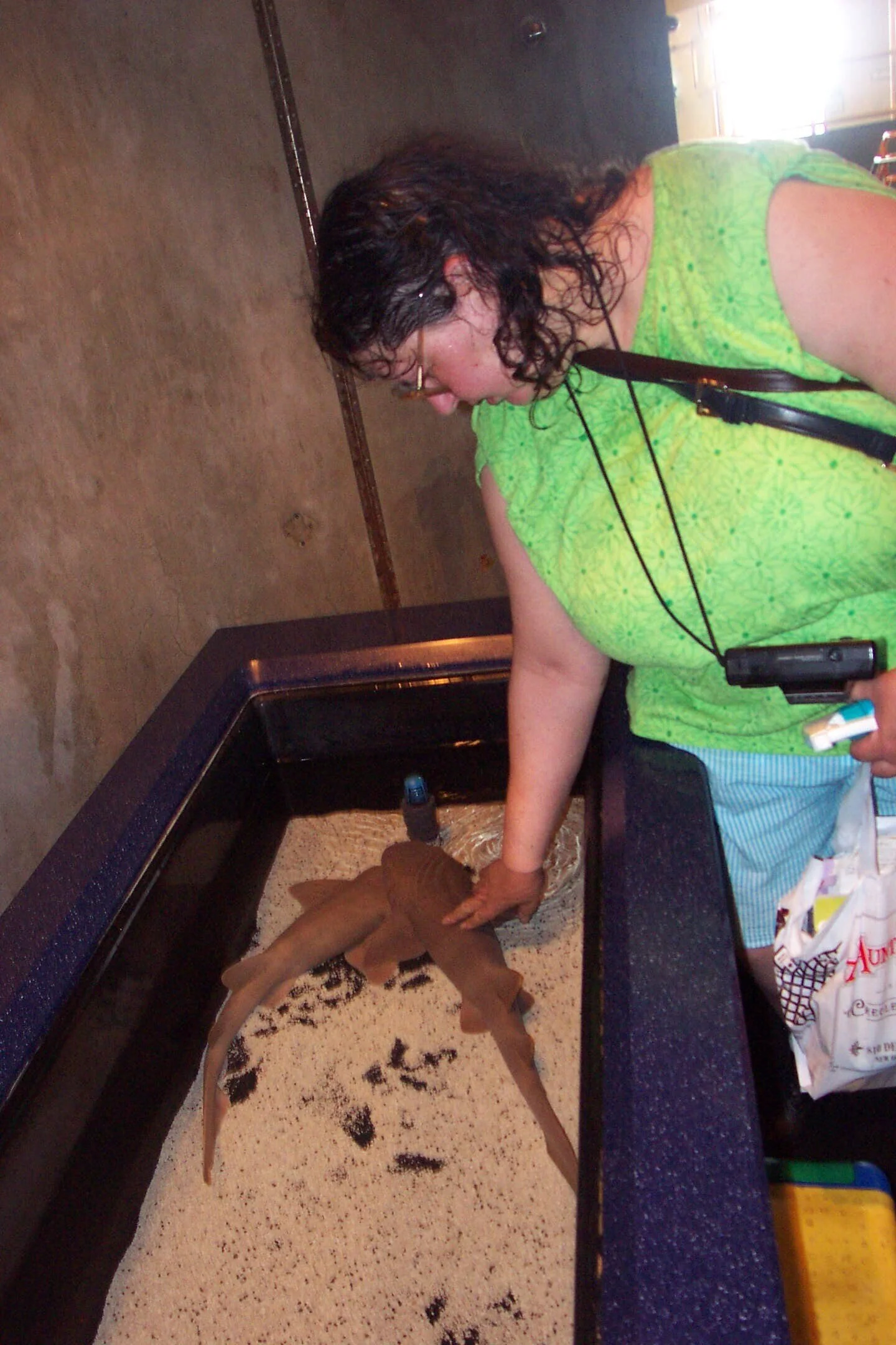 Barb petting shark.jpg