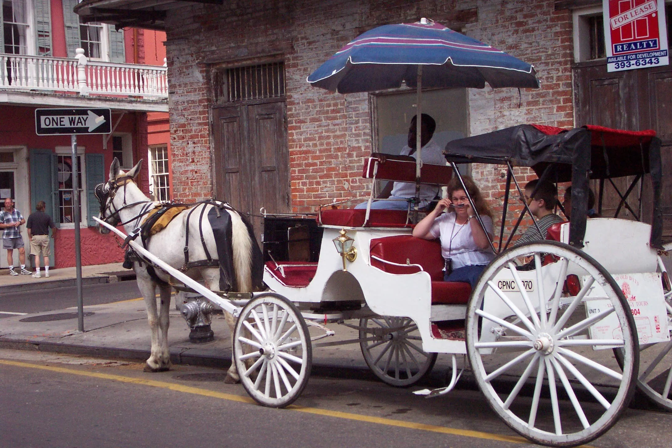 Reggie carriage and mule bourbon st.jpg