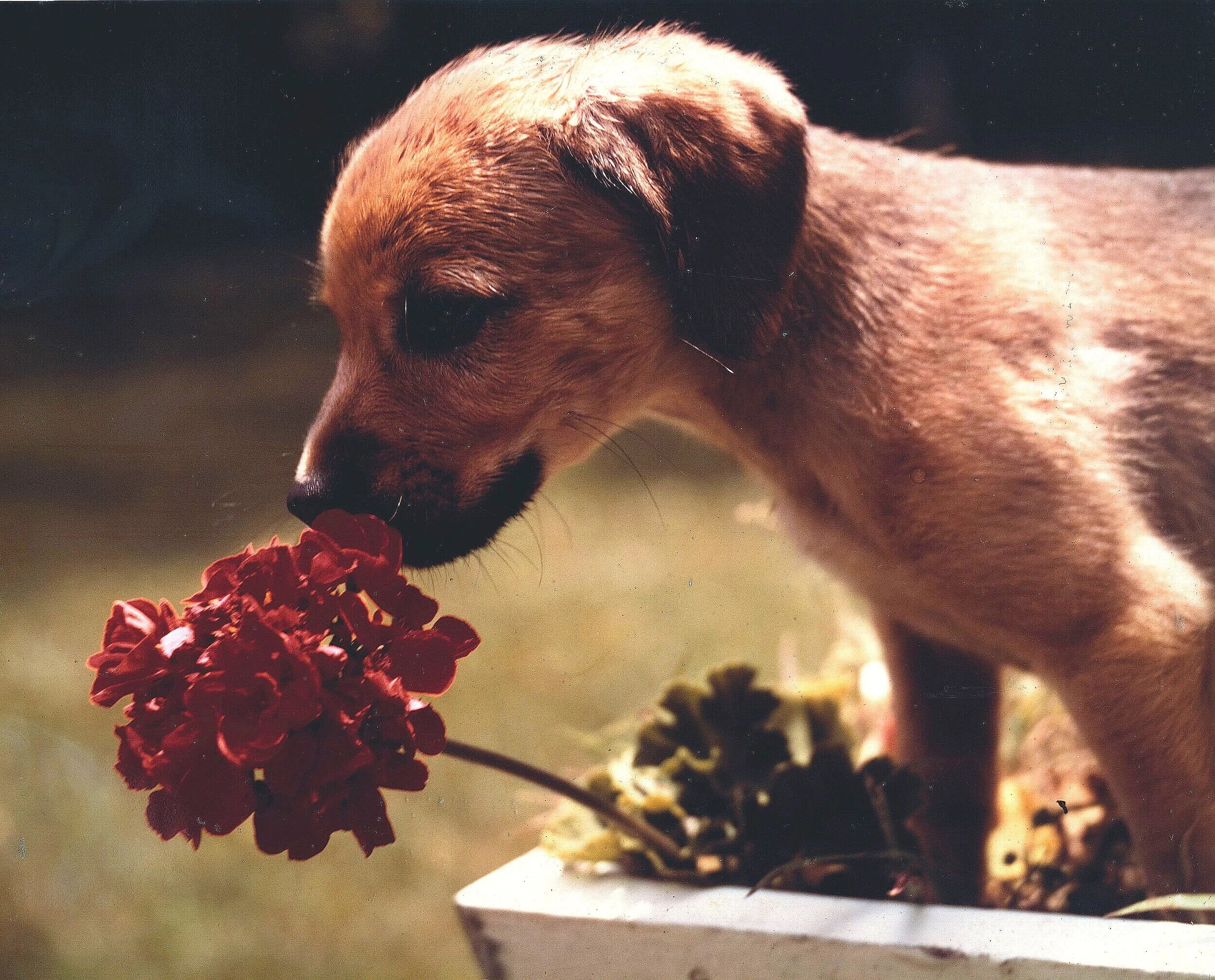 one of my first photos