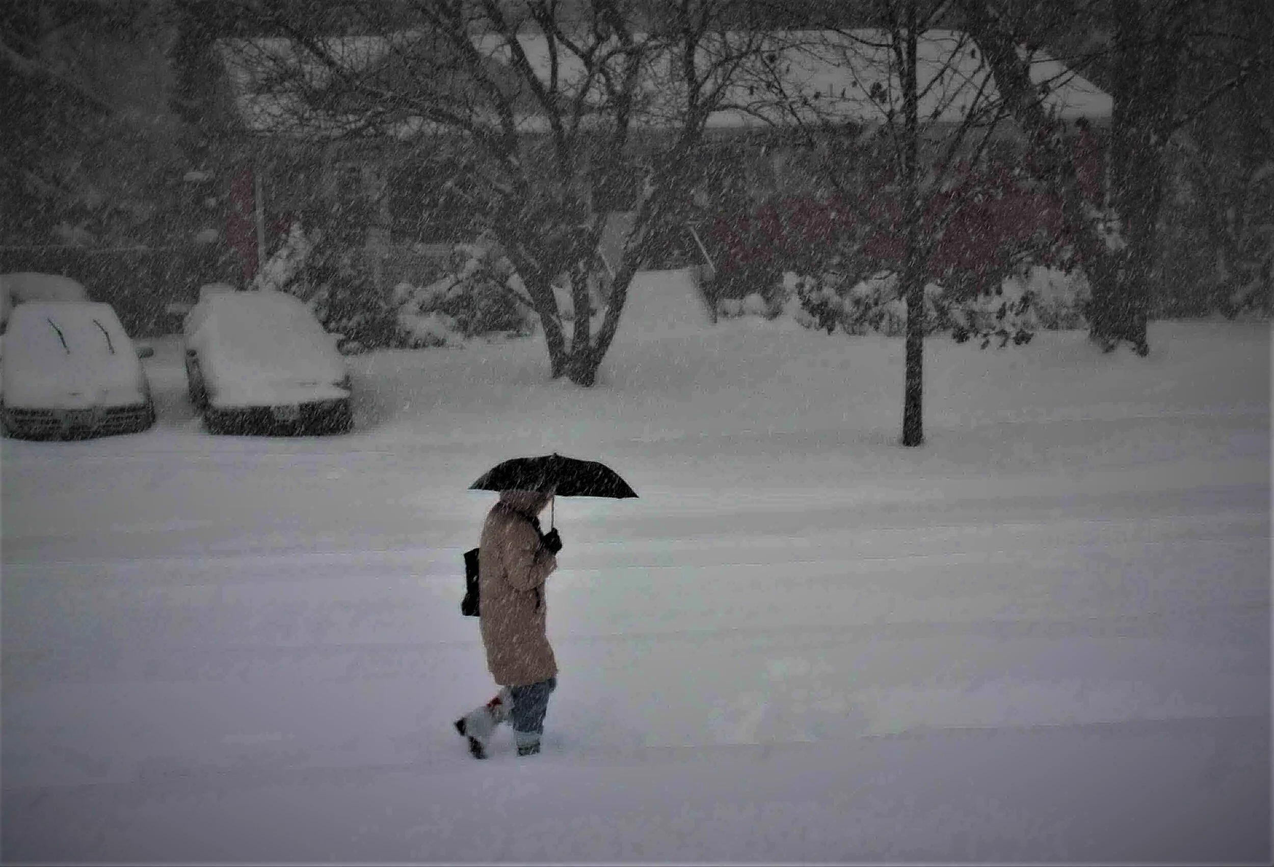 Winter storm our front yard