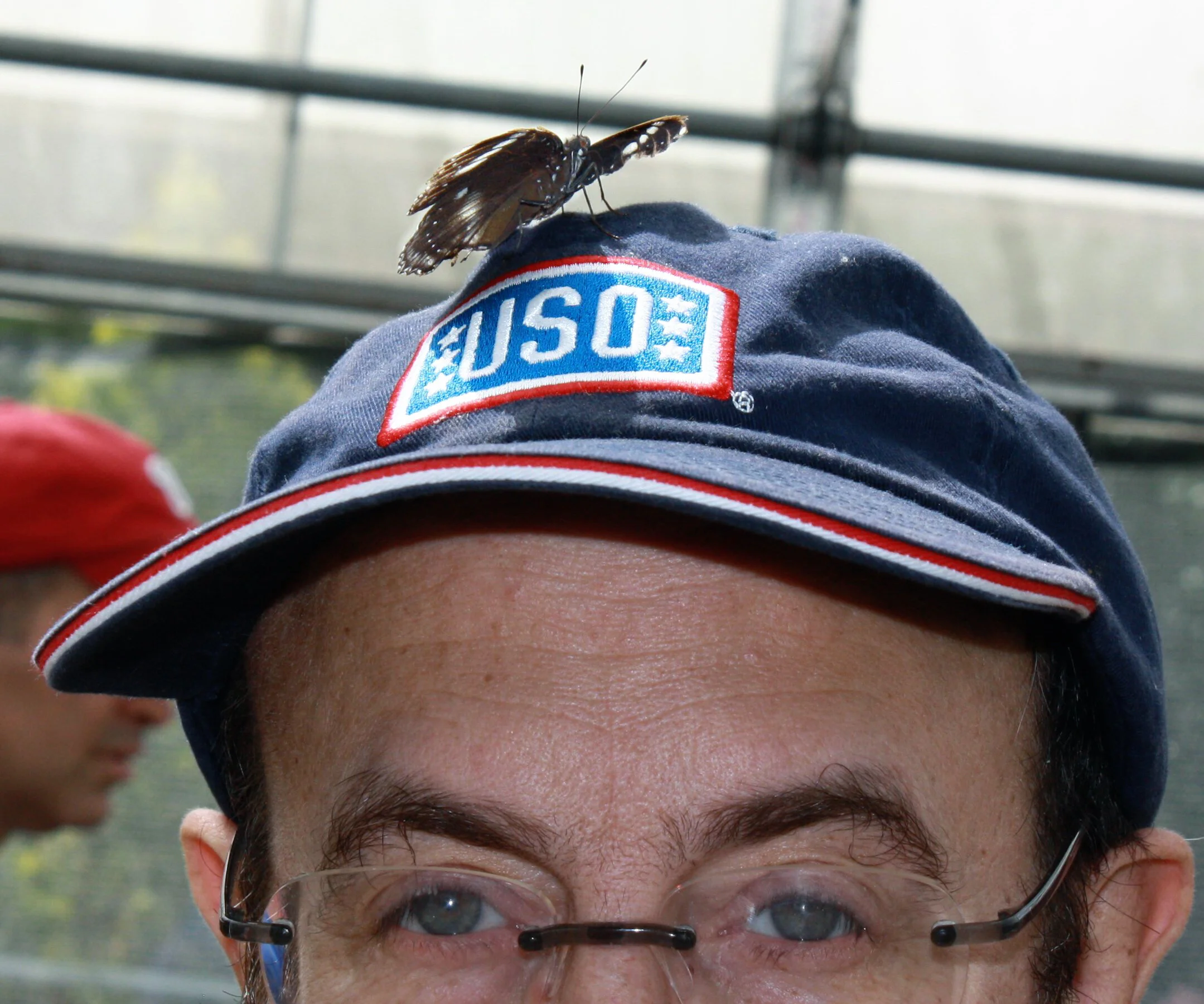 Butterflies are free to roam here