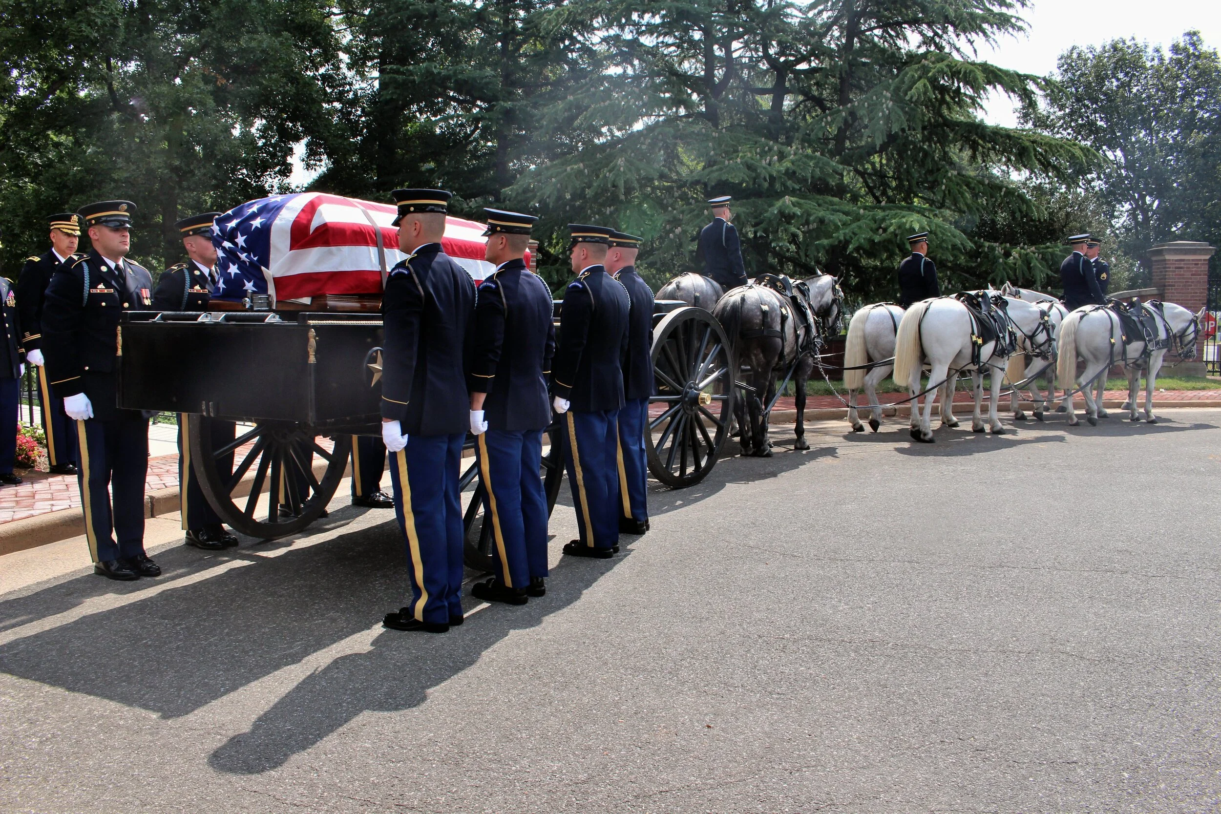 Arlington Cemetery horse and caisson