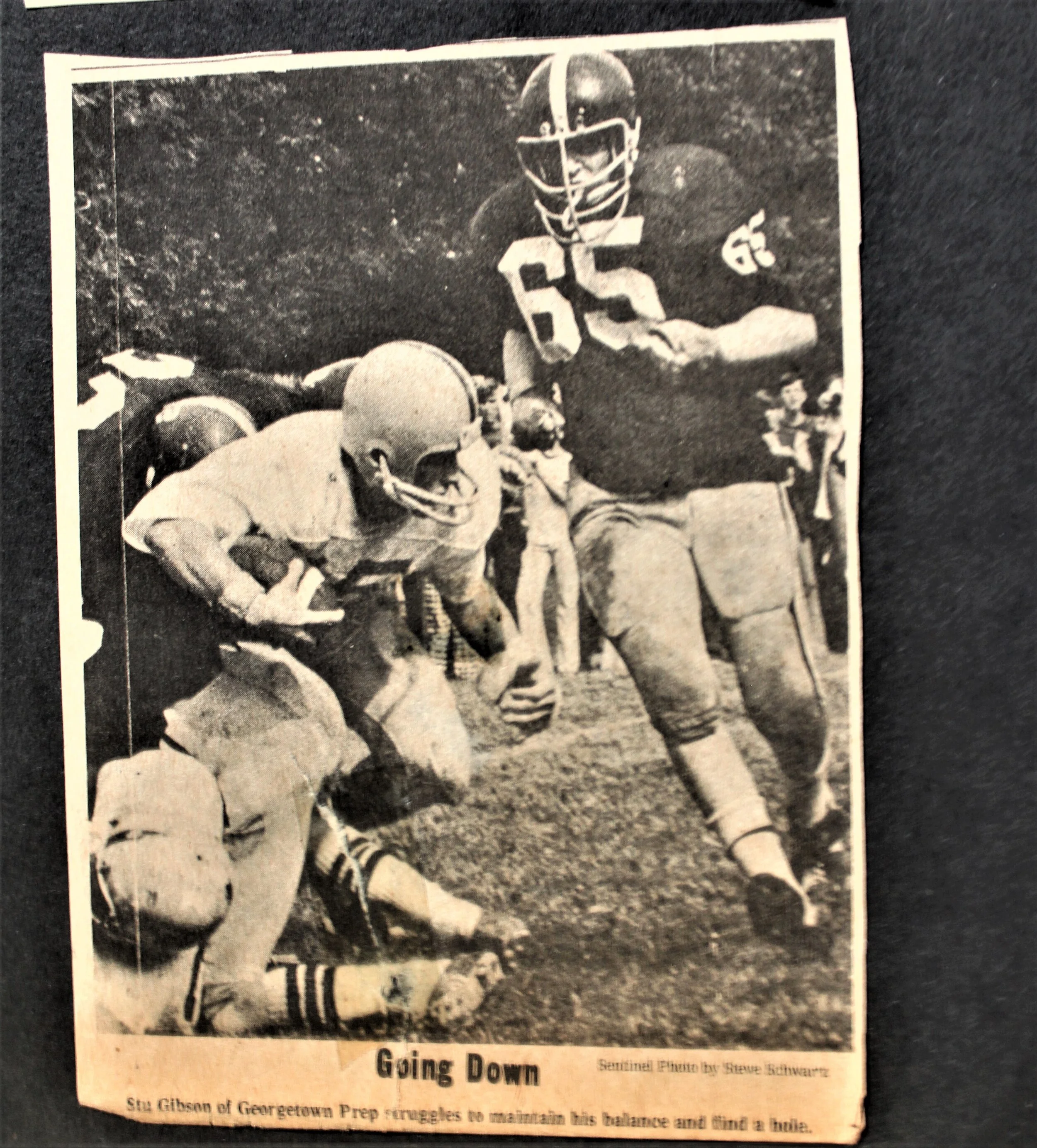 sentinel published photo