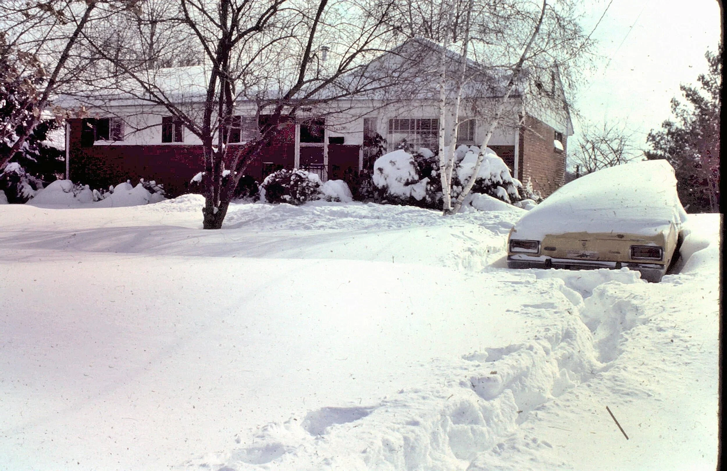 my house 1978