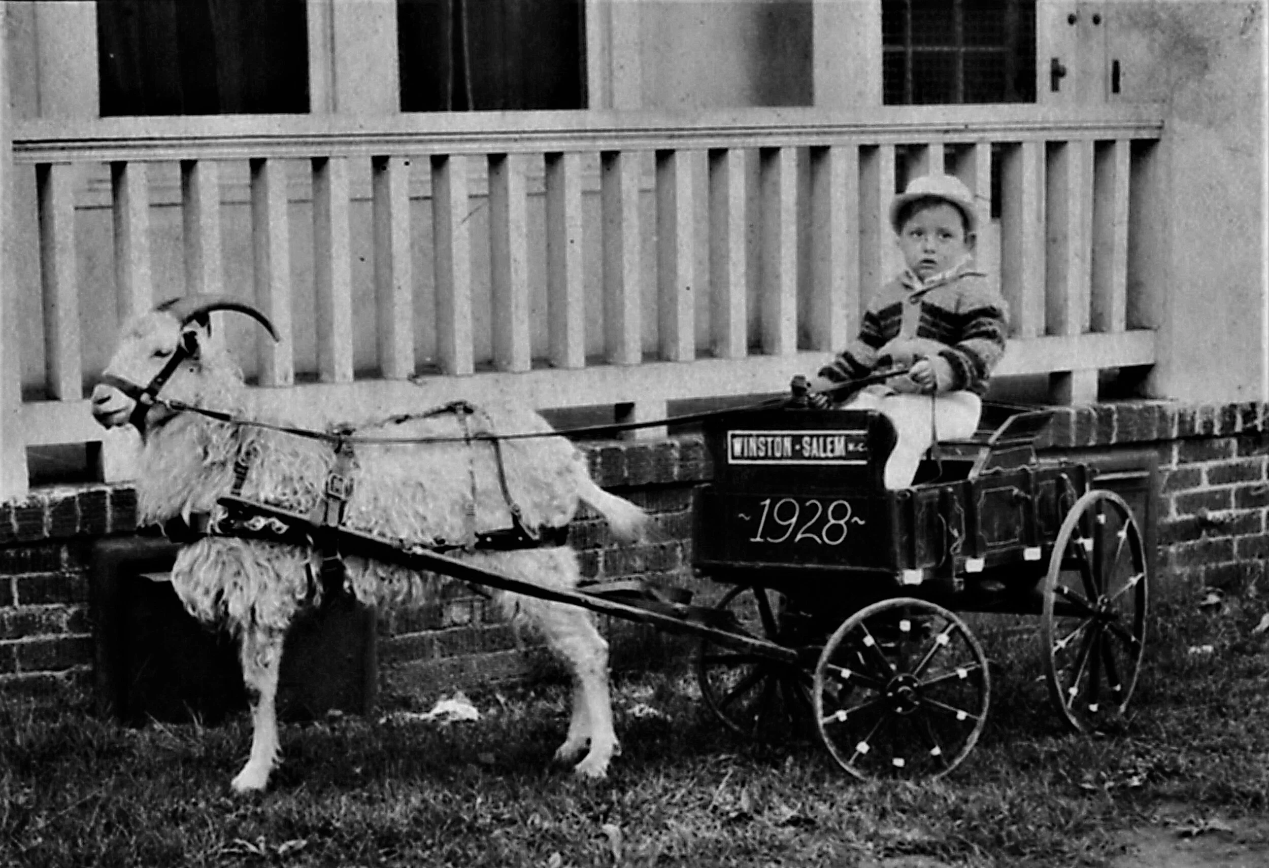 dad 1928 with goat winston-salem