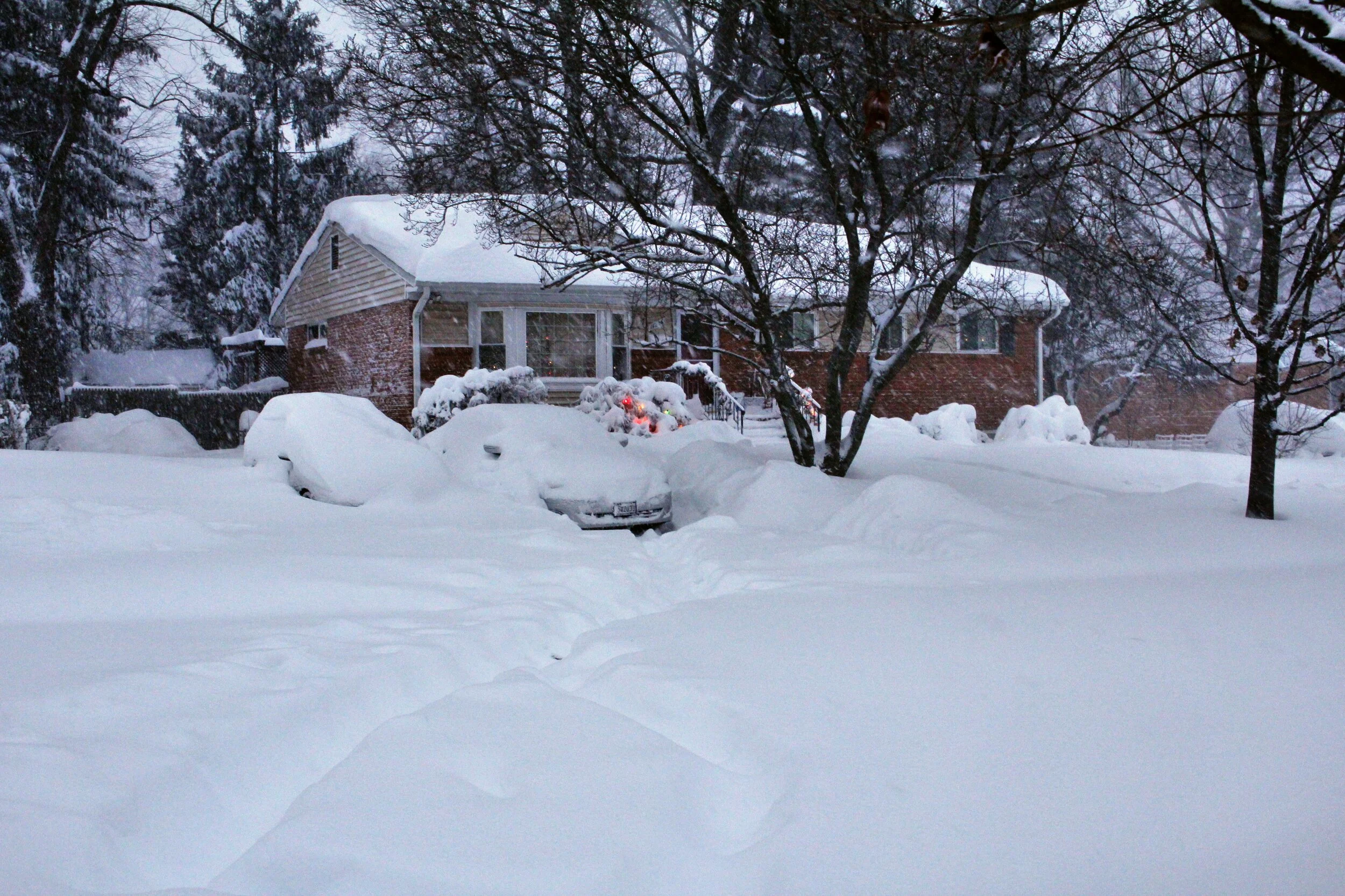 brian jonas blizzard 2016