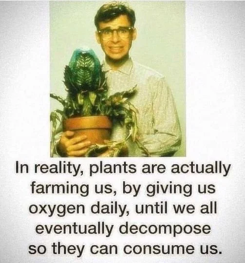 man v plants 