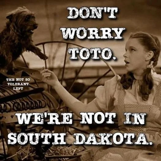 SATIRE ON GOV NOEM KILLING HER DOG