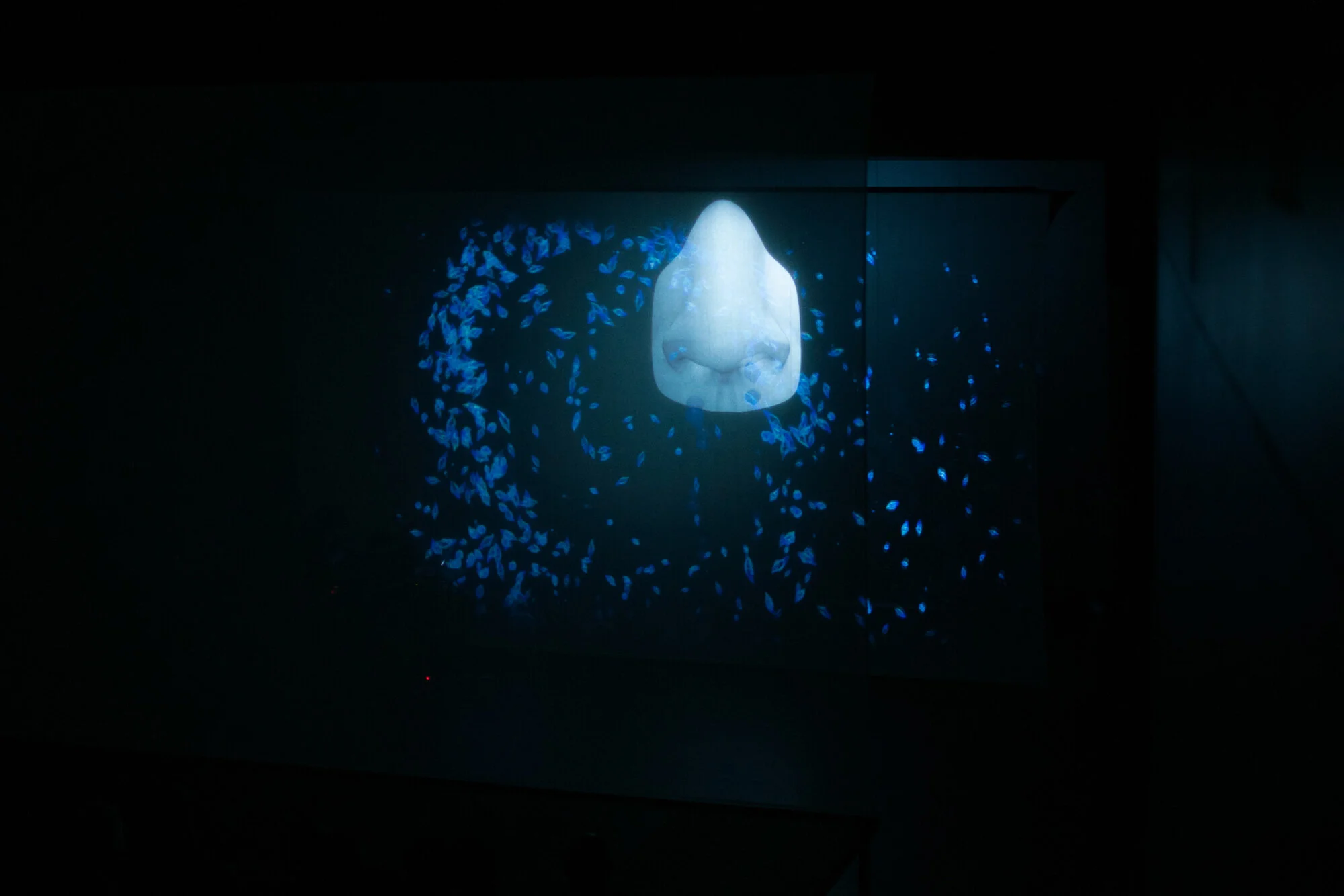 Deep Time Séance 2: Contamination. Tuomas A. Laitinen: 'Particle Vortex' (2015)
